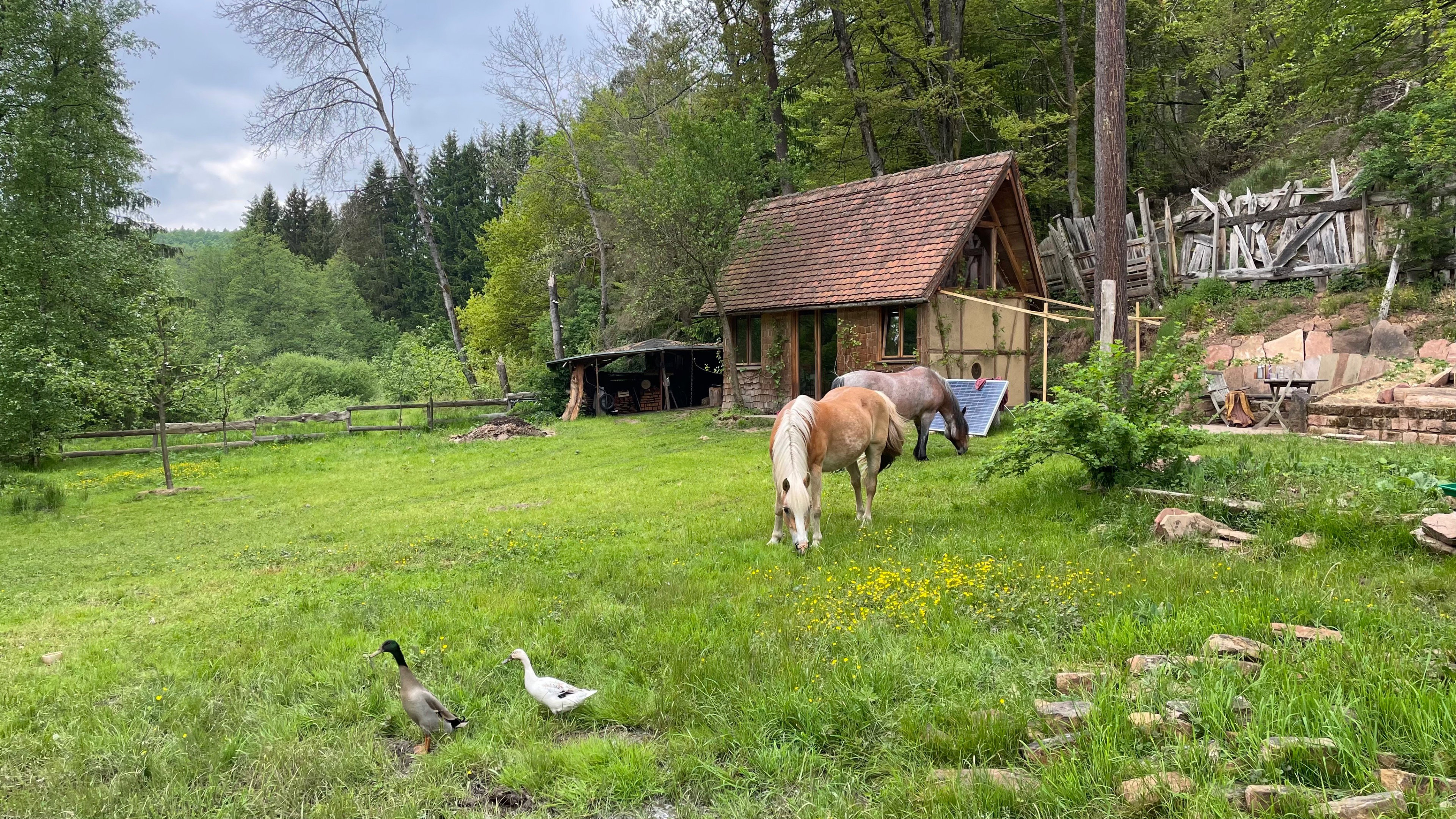 Naturhäuschen in Trippstadt