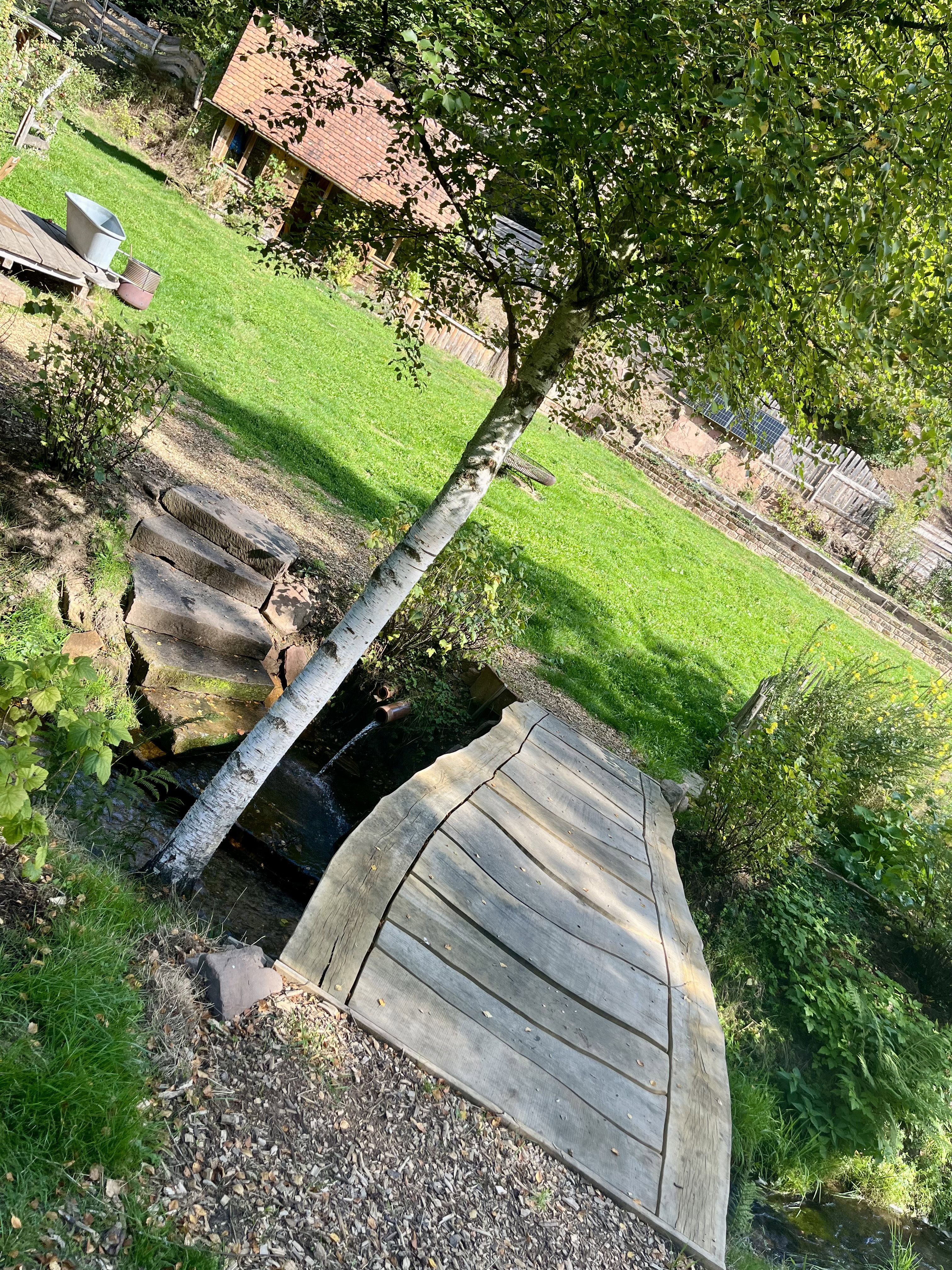 - image: 12