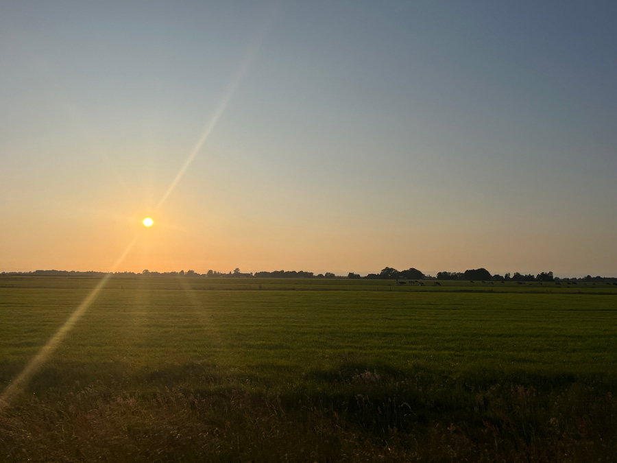 - image: 26