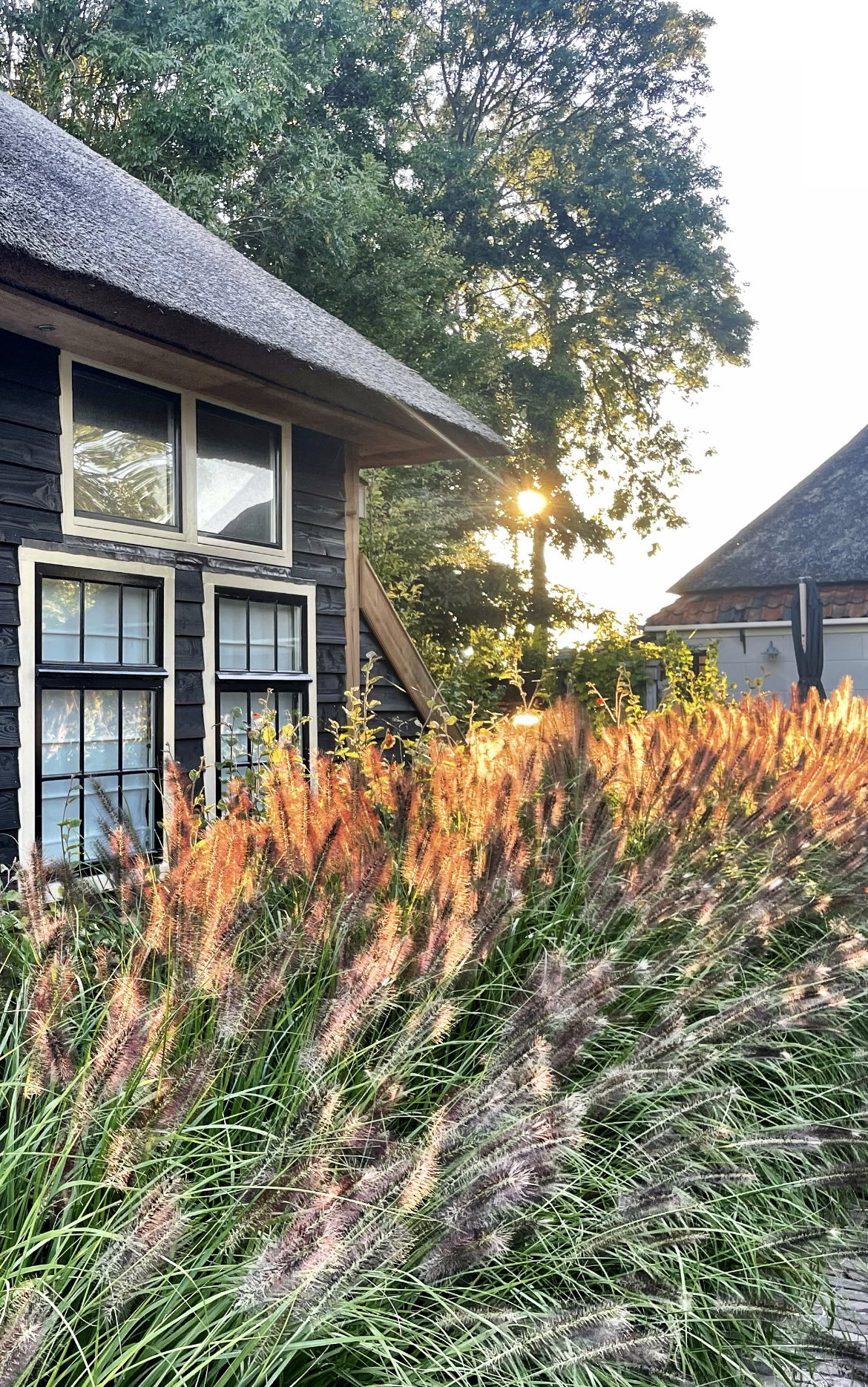 Casa nella natura a Tuitjenhorn