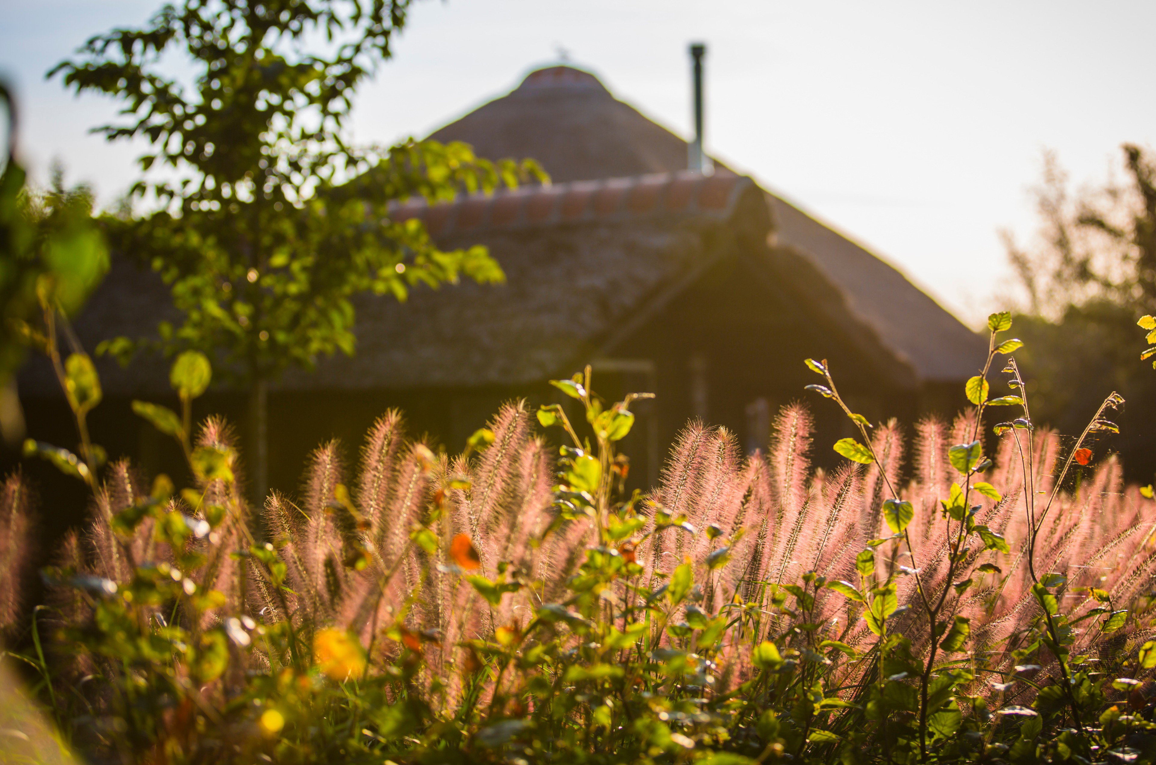 Casa nella natura a Tuitjenhorn