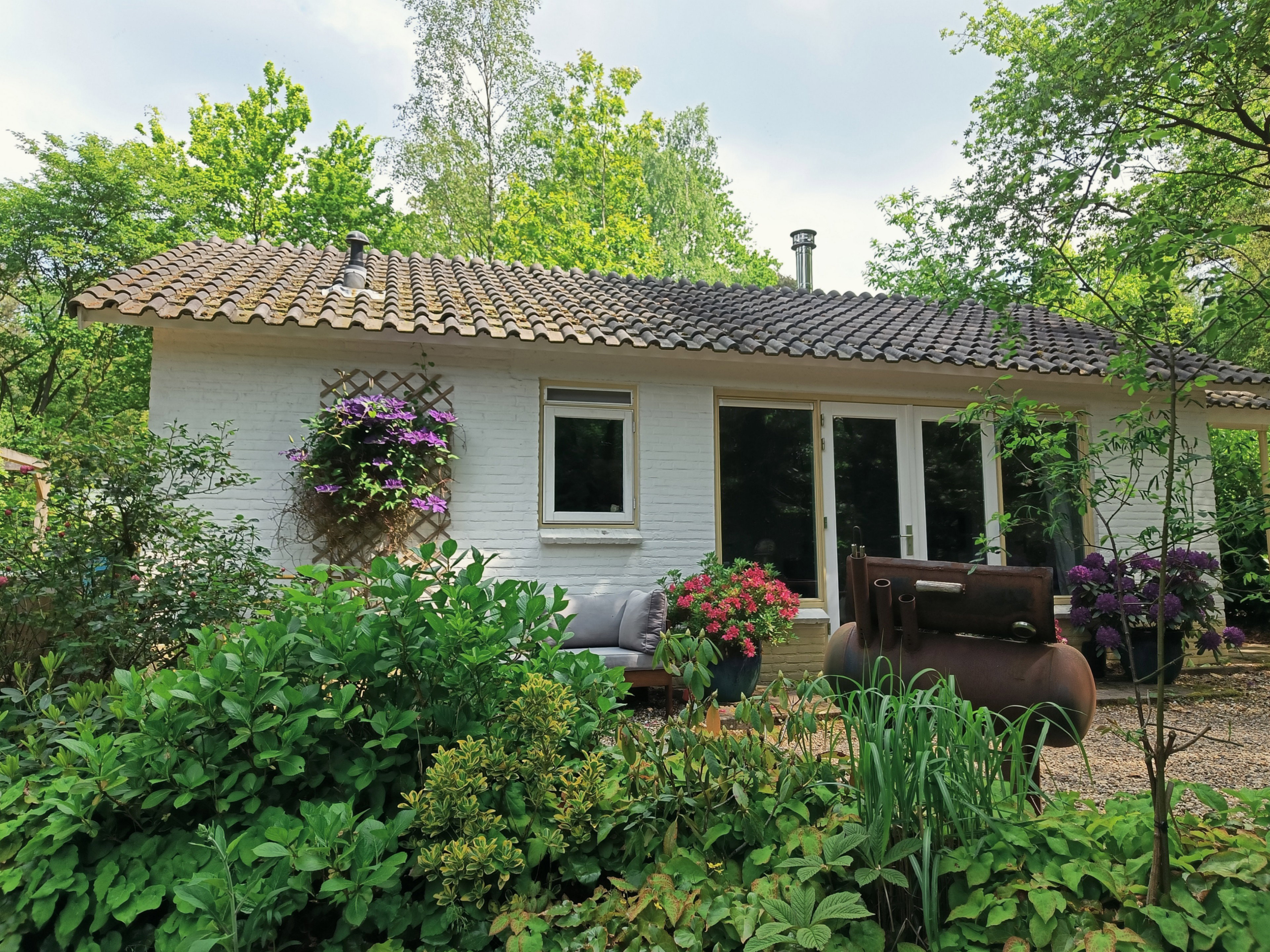 - image: 11
