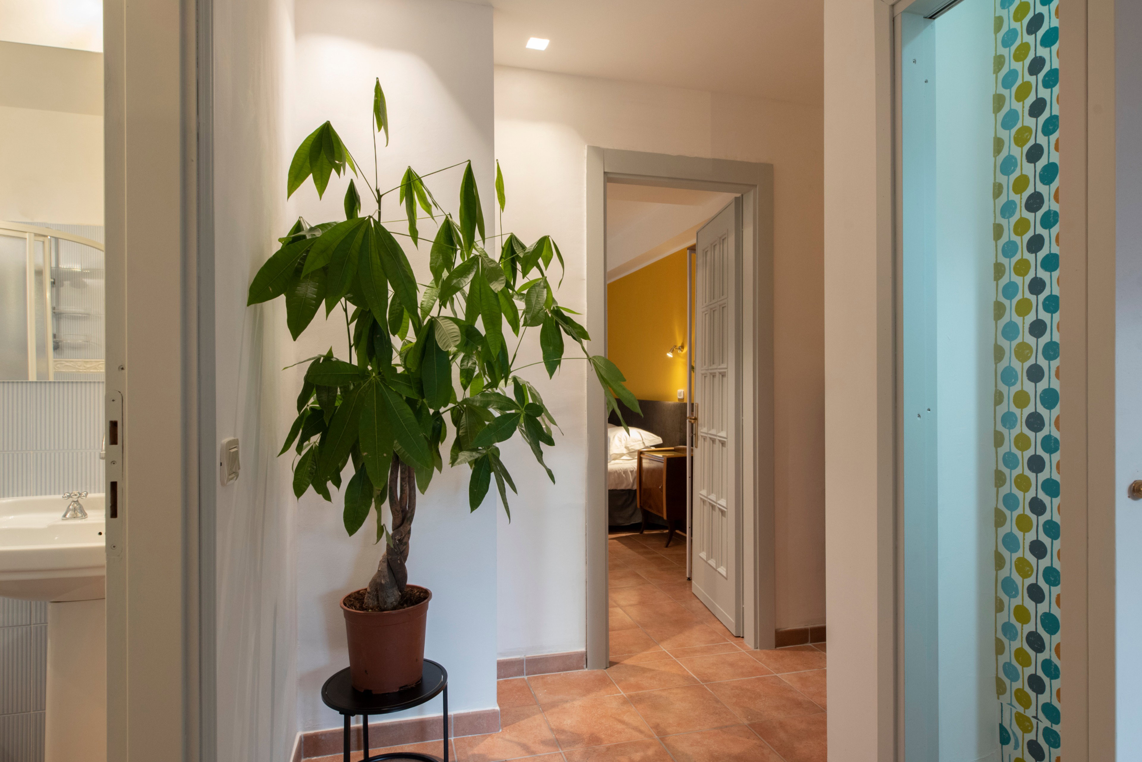 Casa nella natura a Assisi