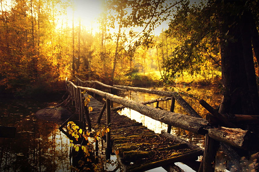 - image: 53