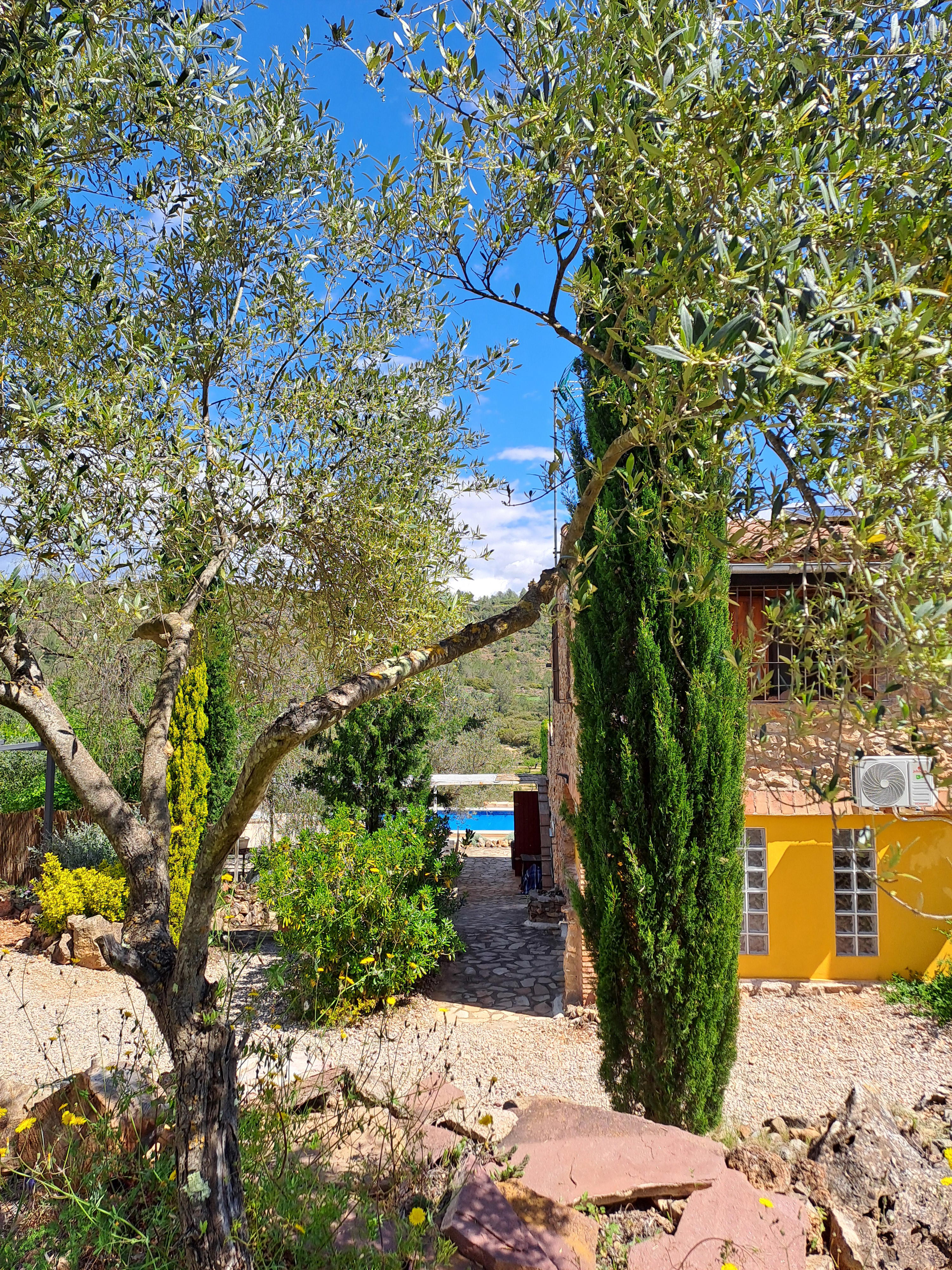 Nature house in Costur