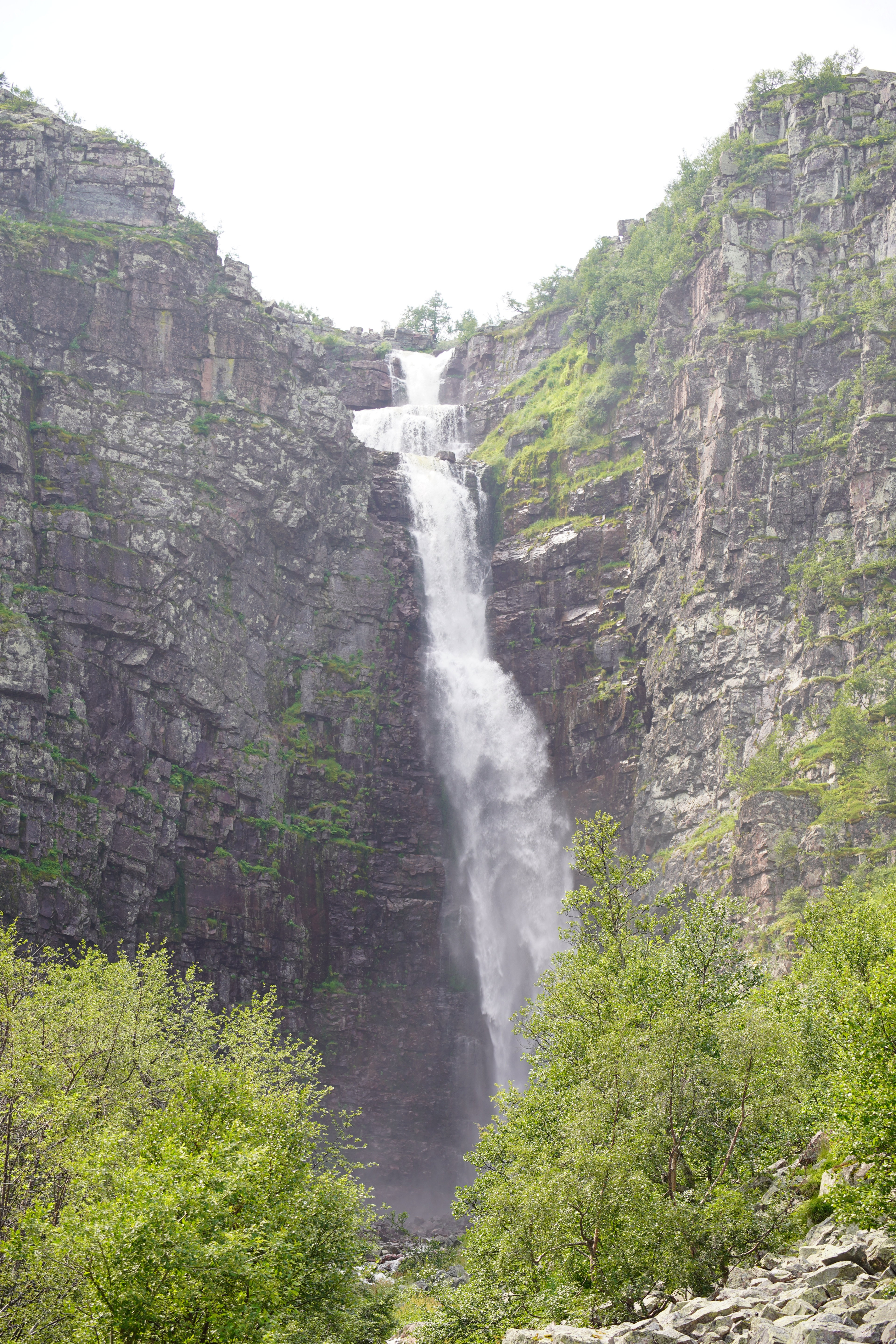 - image: 18