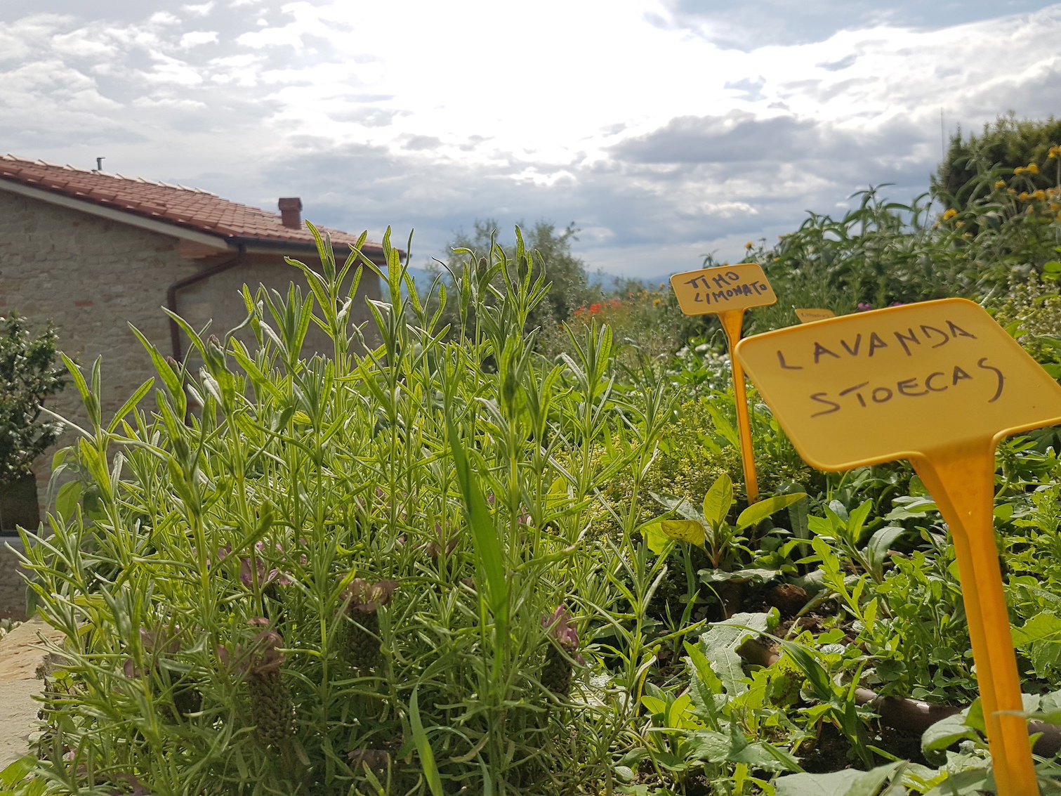 Maison nature à LARCIANO