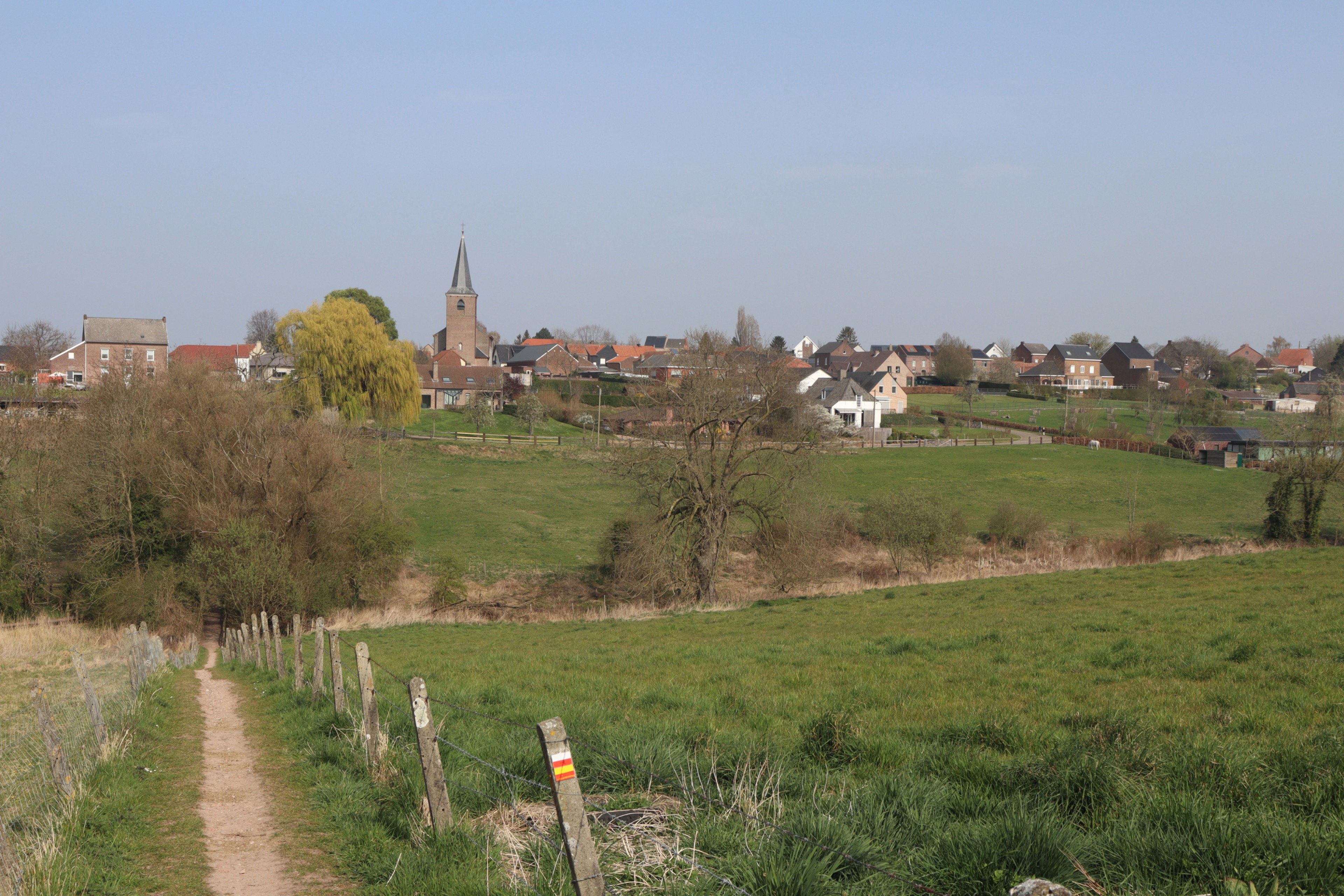 - image: 25