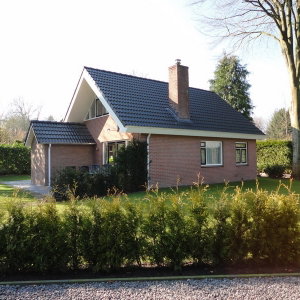 - image: 10