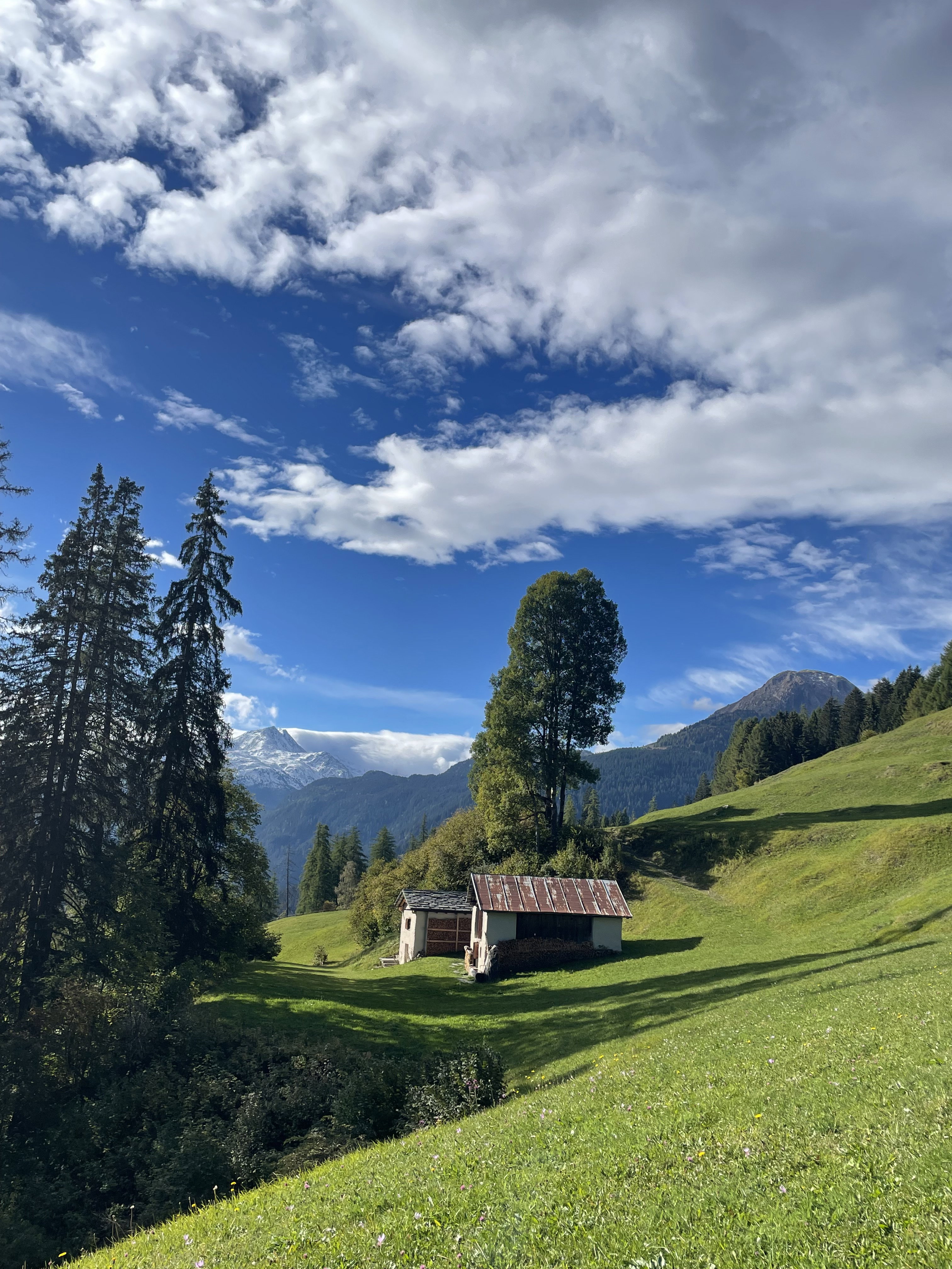 Casa nella natura a Lohn GR