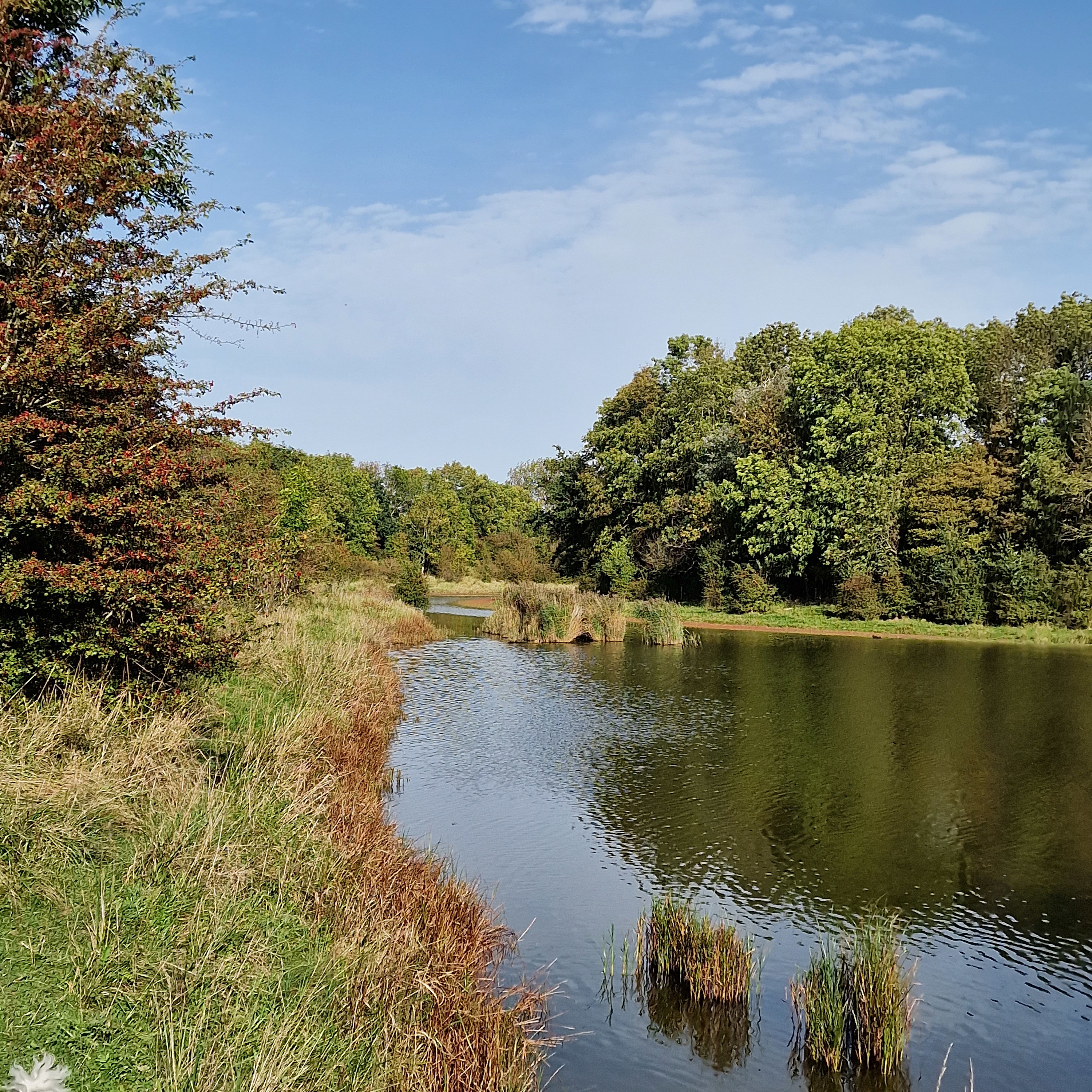 Naturhäuschen in Dreischor
