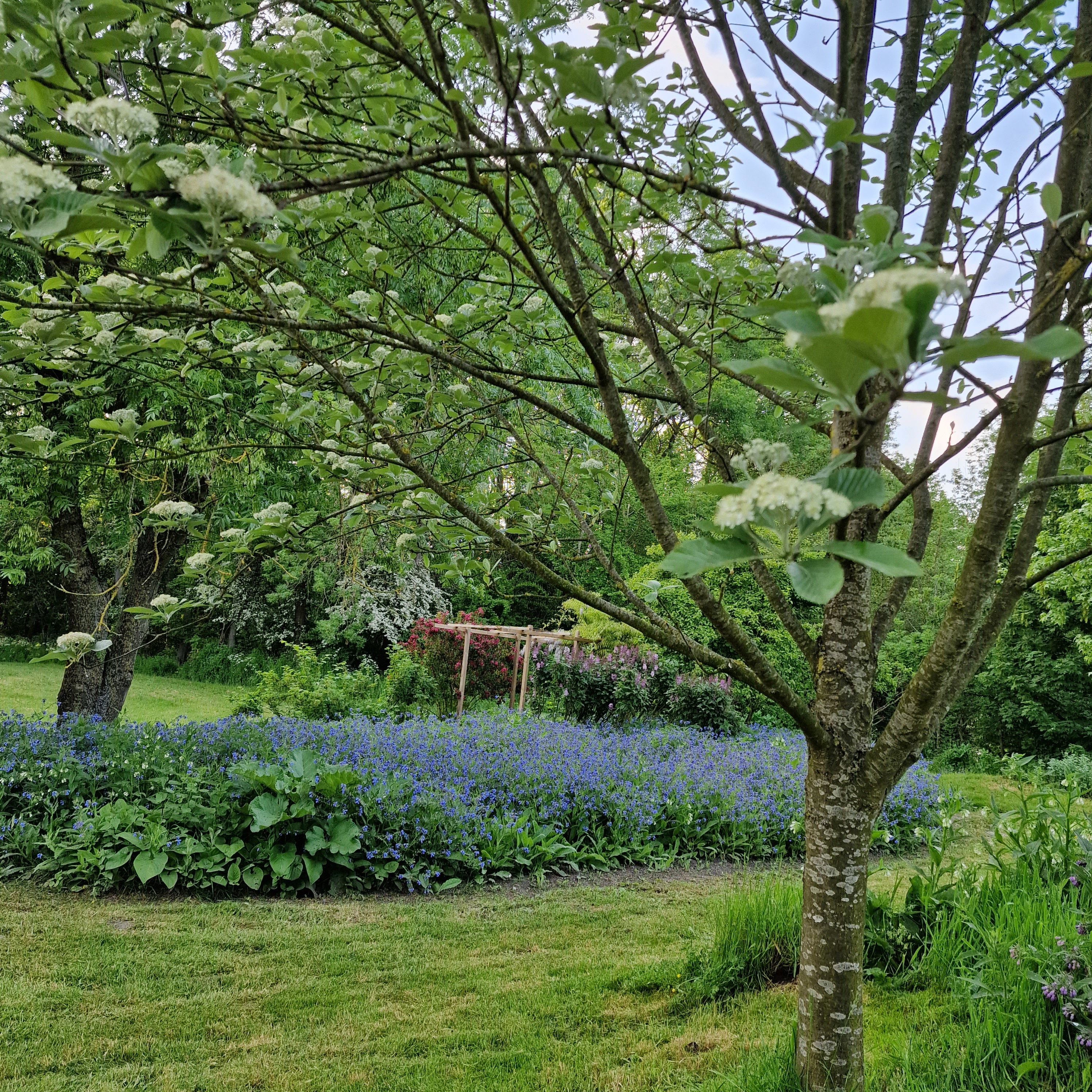 Naturhäuschen in Dreischor