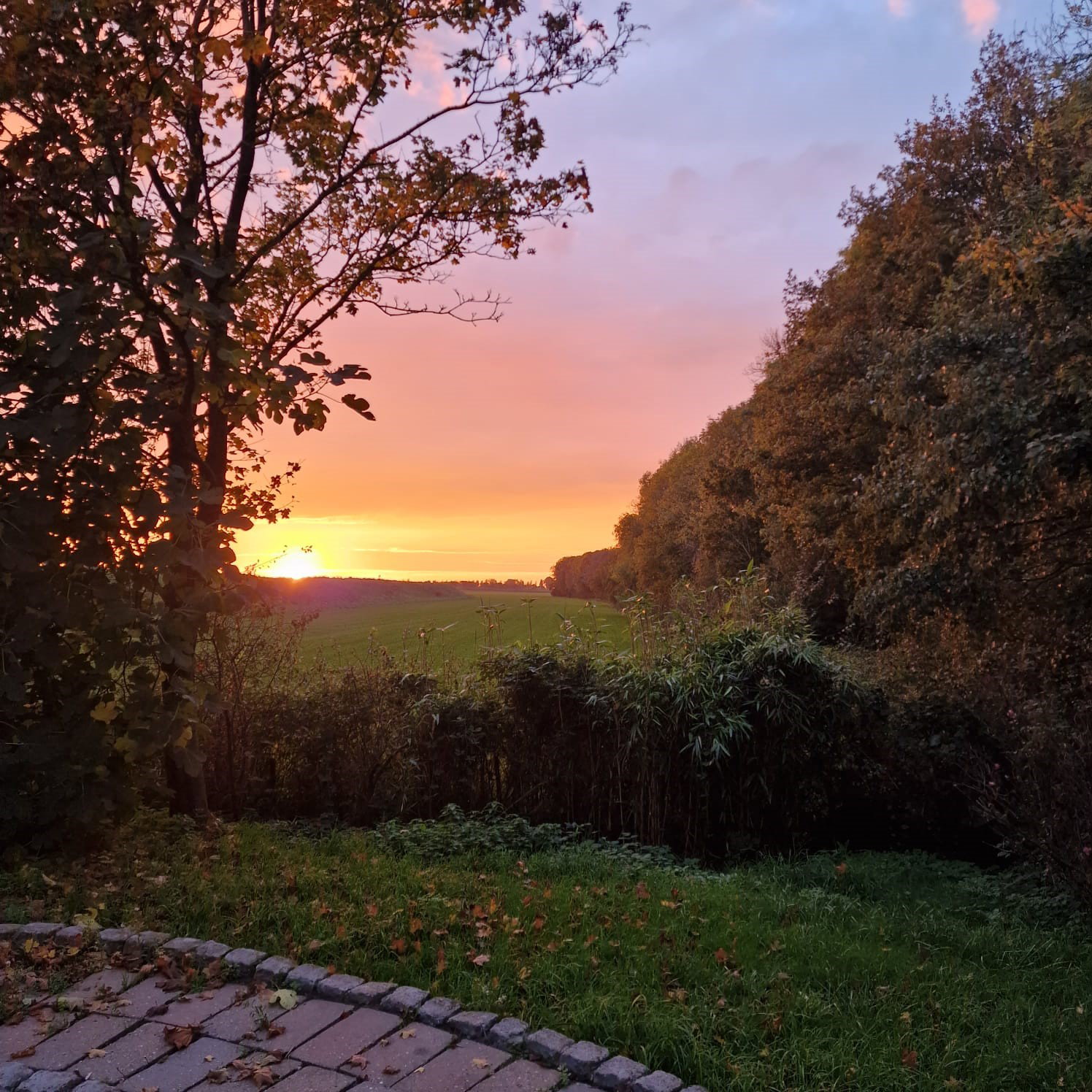 Natuurhuisje in Dreischor