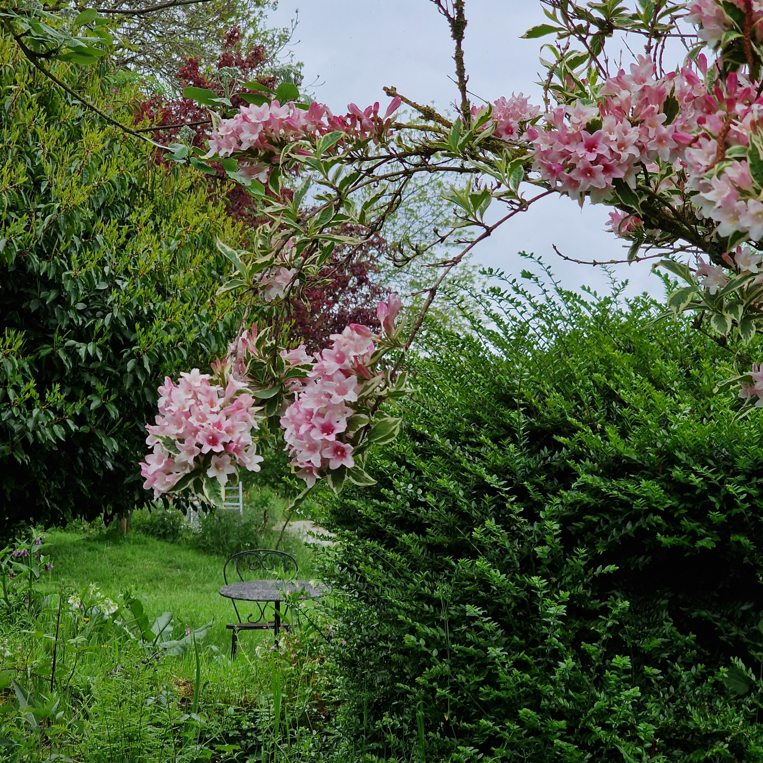 Naturhäuschen in Dreischor