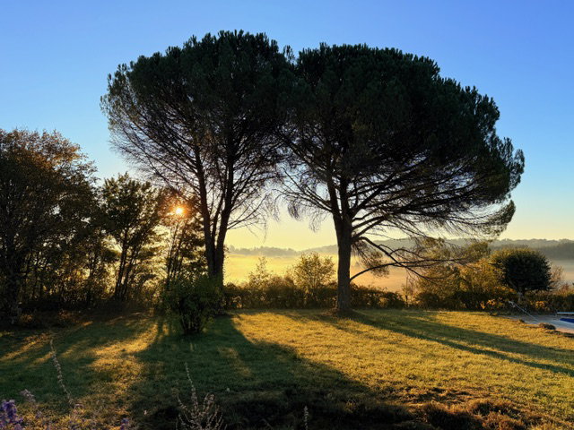 - image: 61