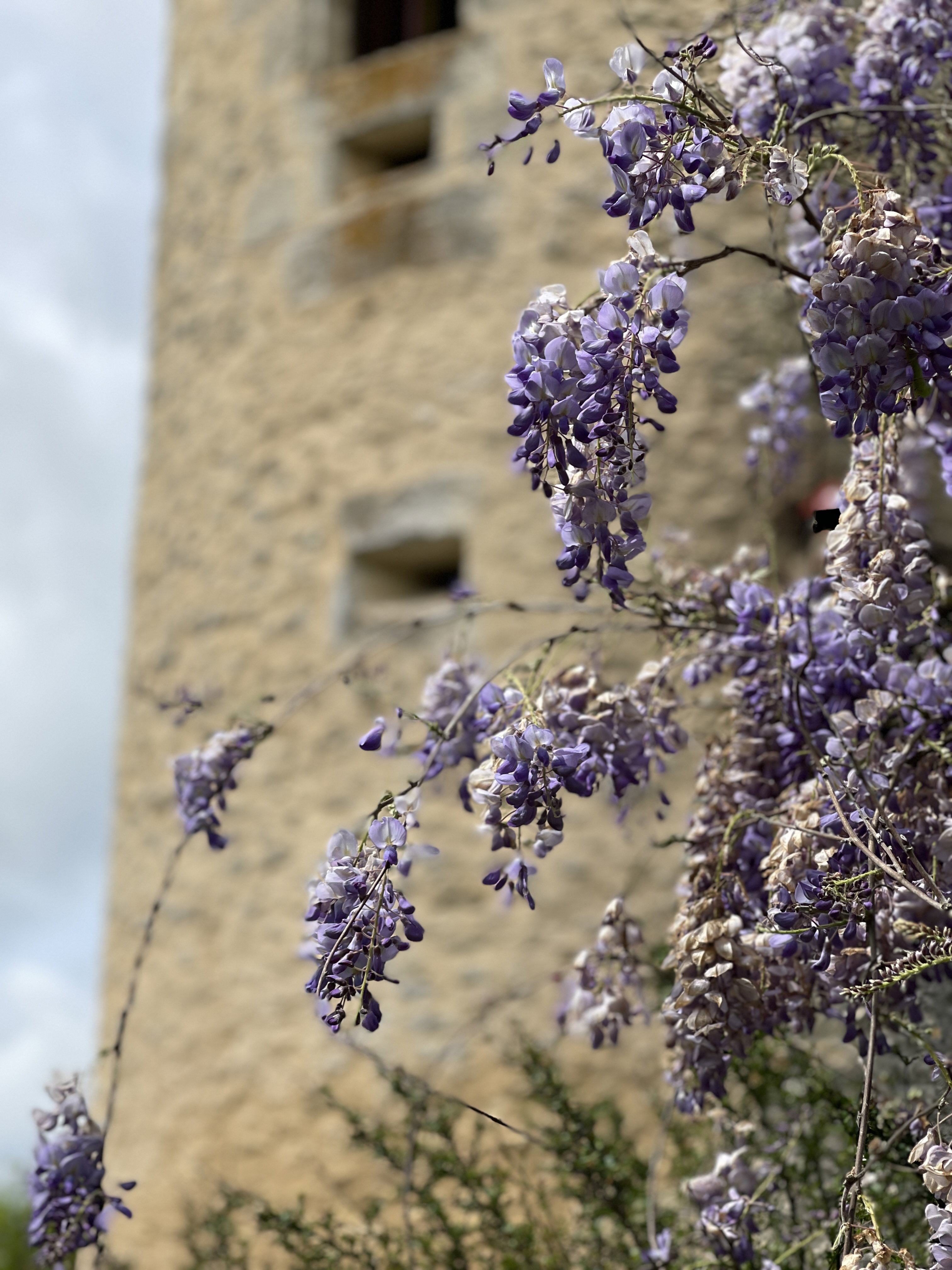 Natuurhuisje in Saint Mayme de Péreyrol