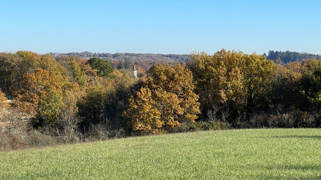 - image: 63
