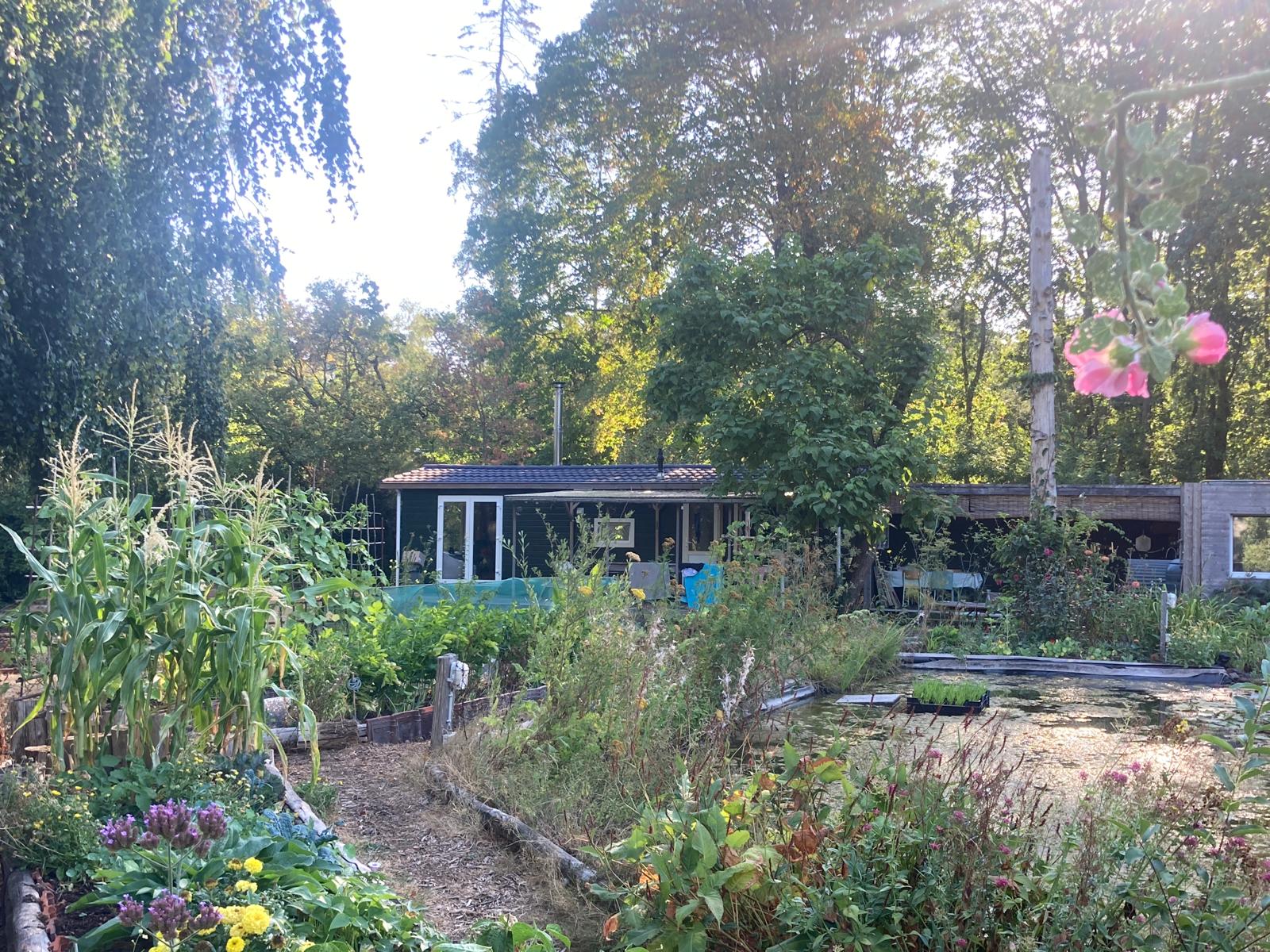 Casa nella natura a Lembeke