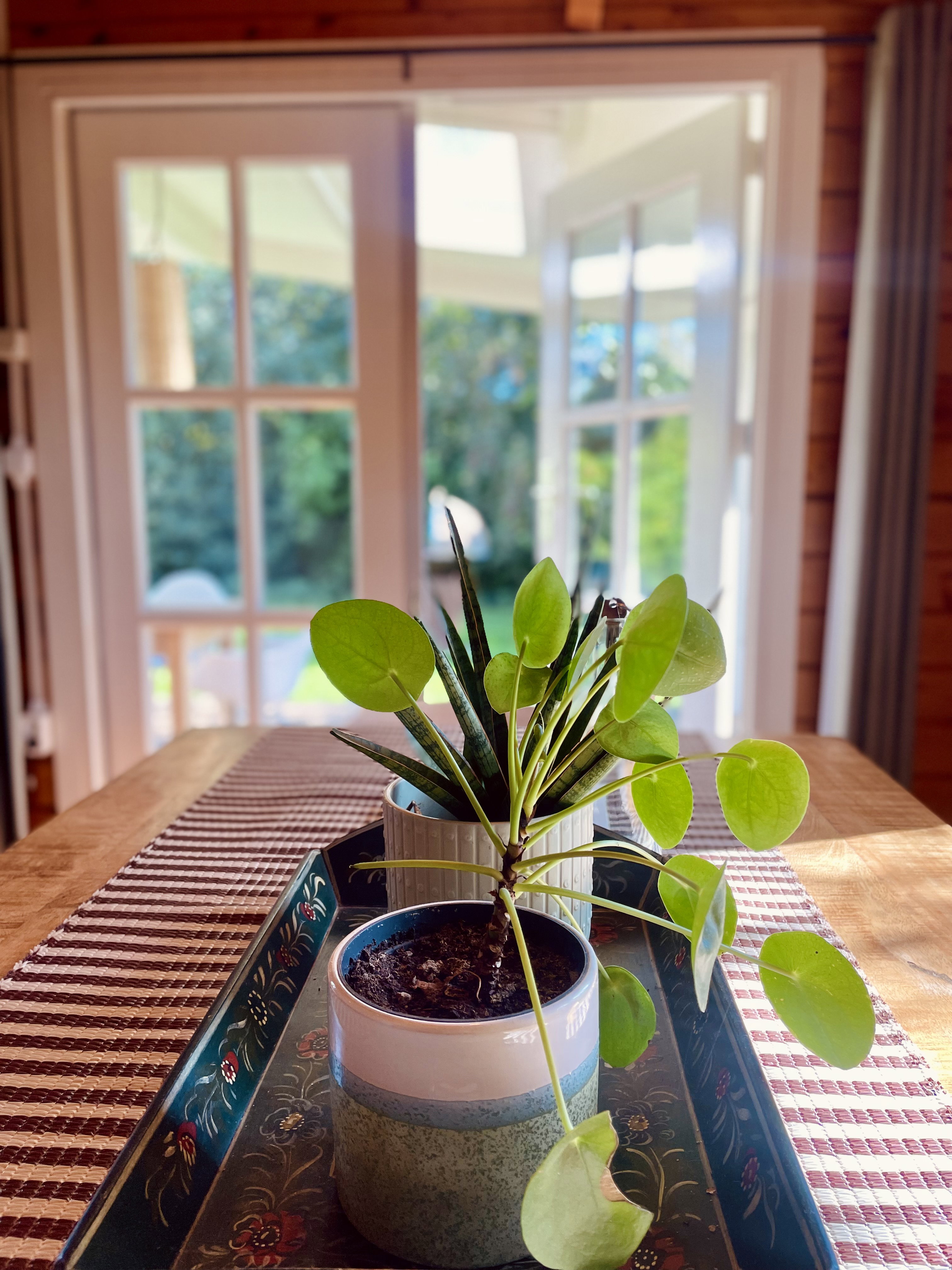 Nature house in Winssen