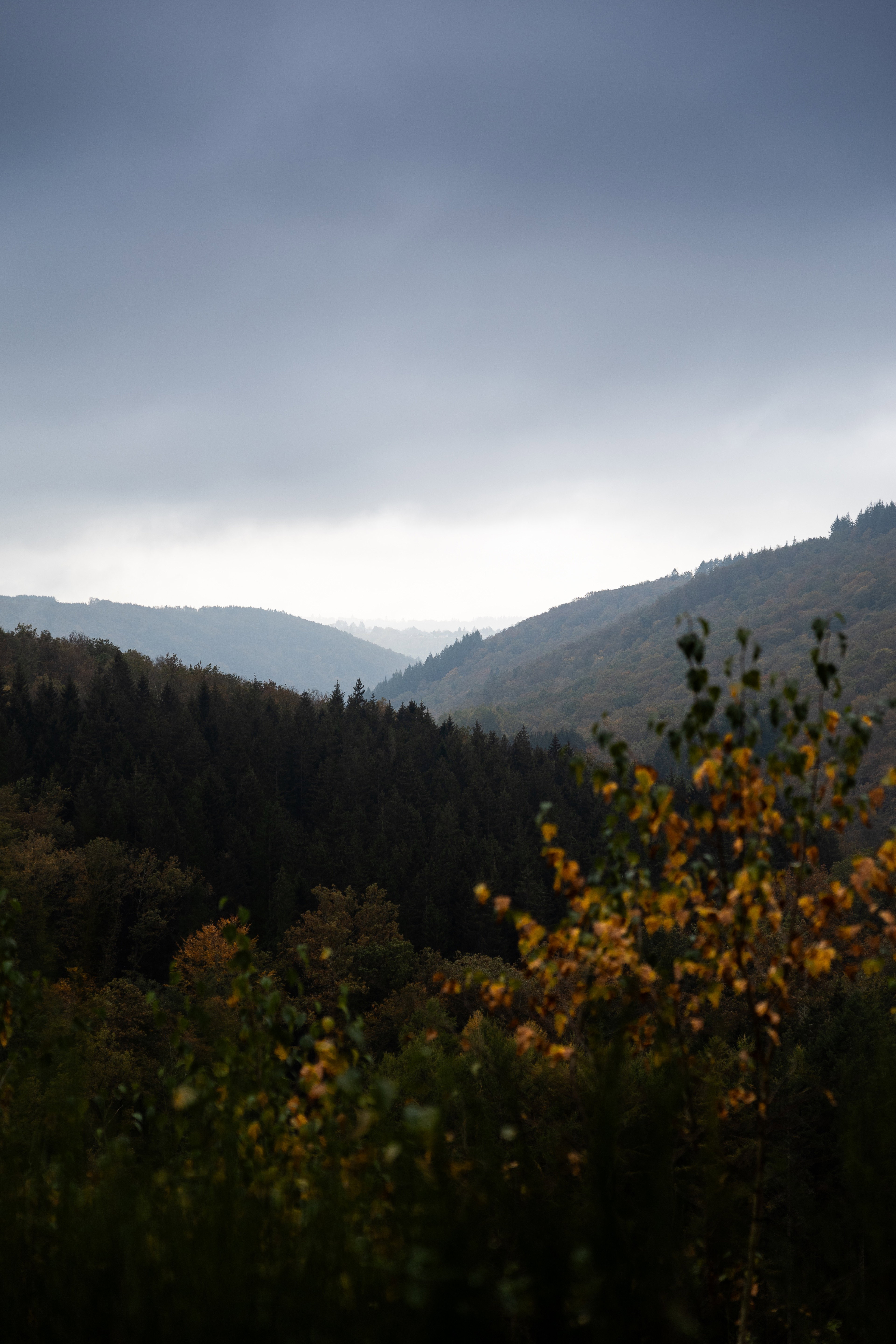- image: 24