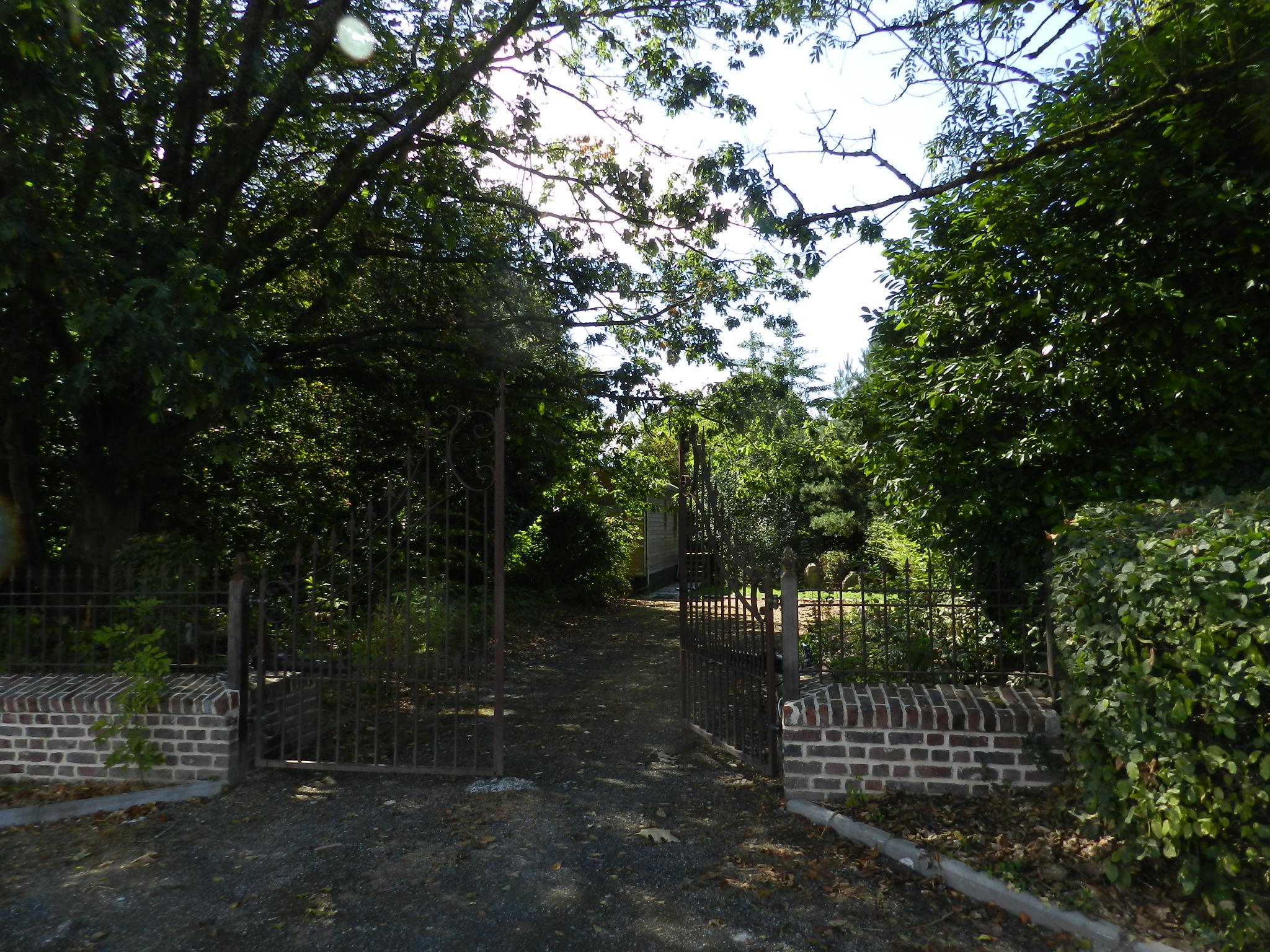 - image: 26