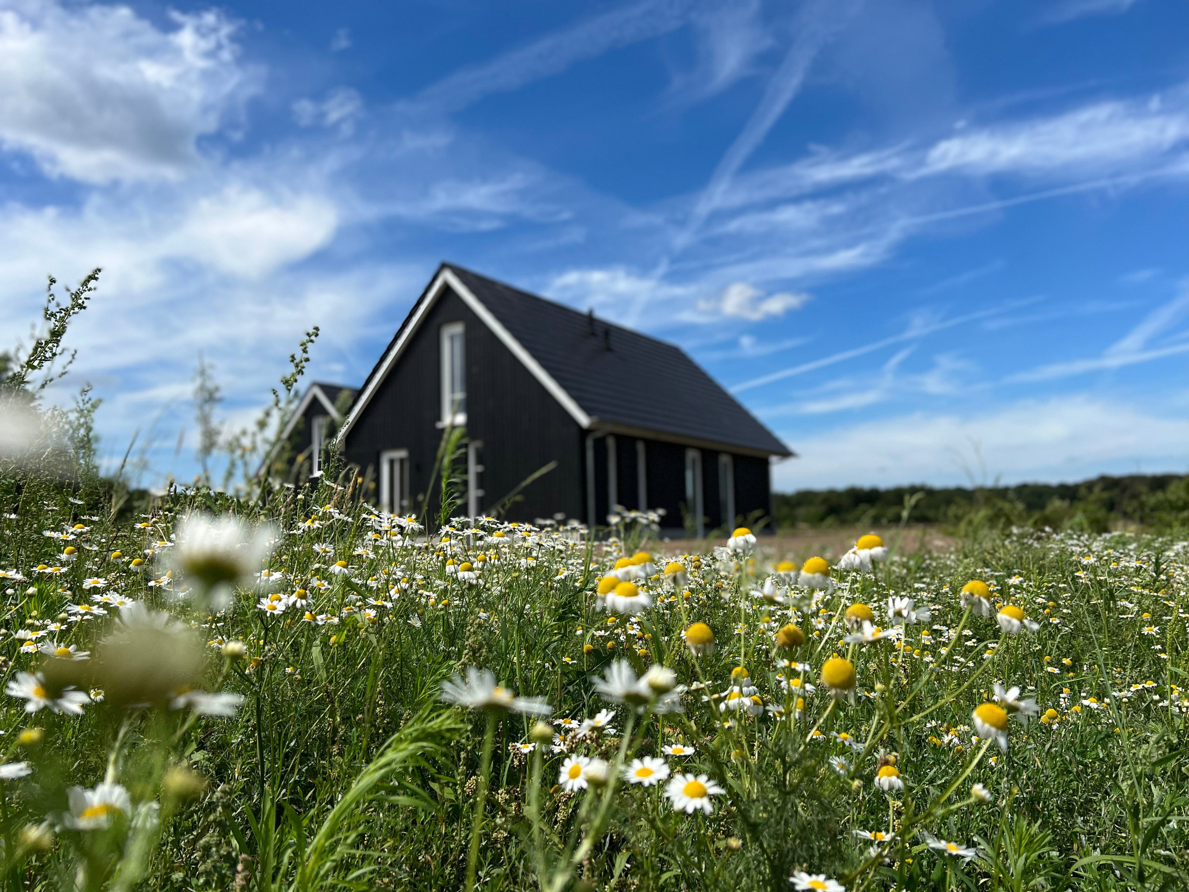 Natuurhuisje in Hellendoorn