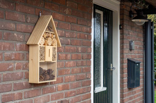 Nature house in Beemte Broekland