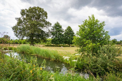 Nature house in Beemte Broekland