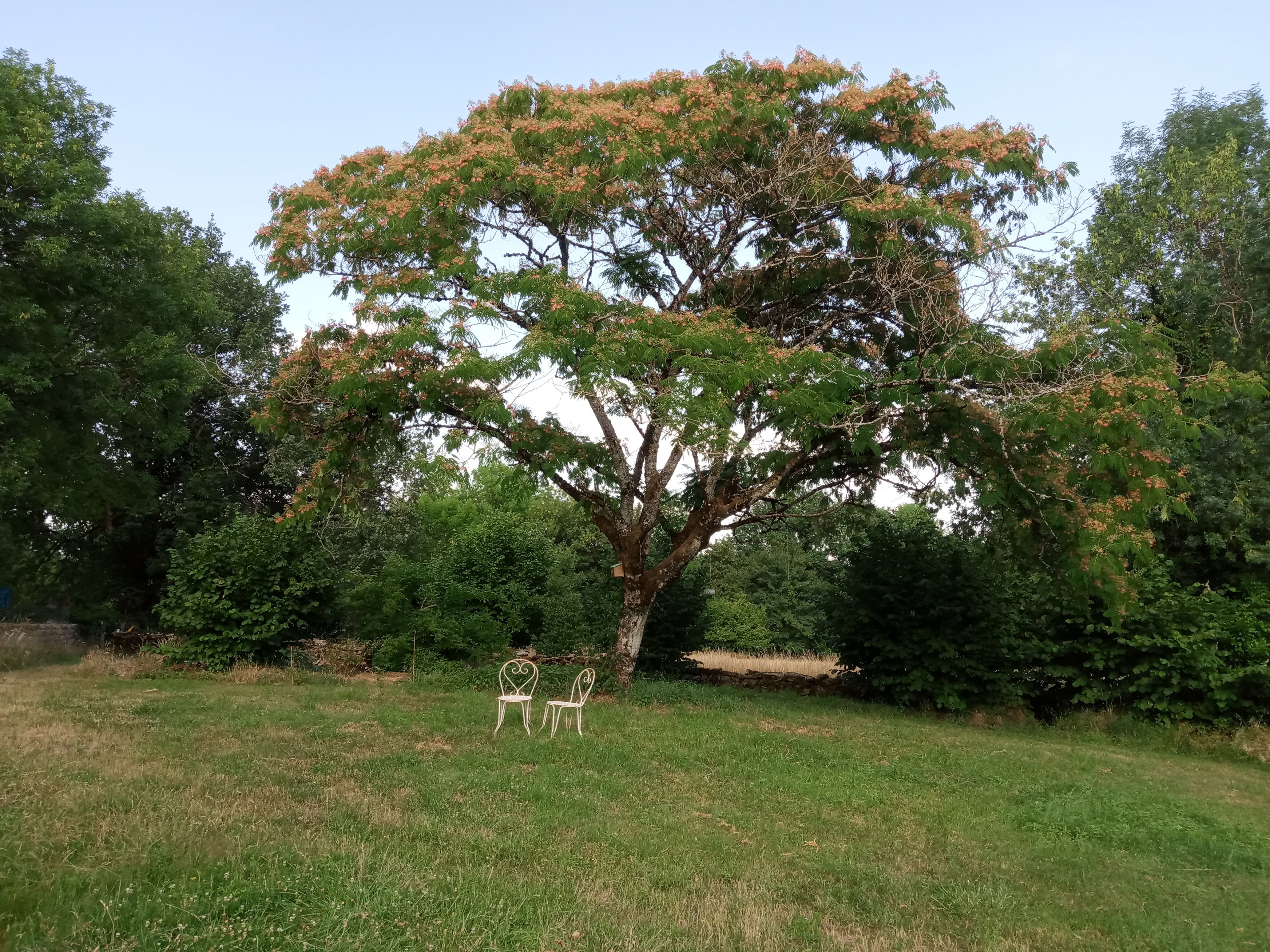 Naturhäuschen in Miers