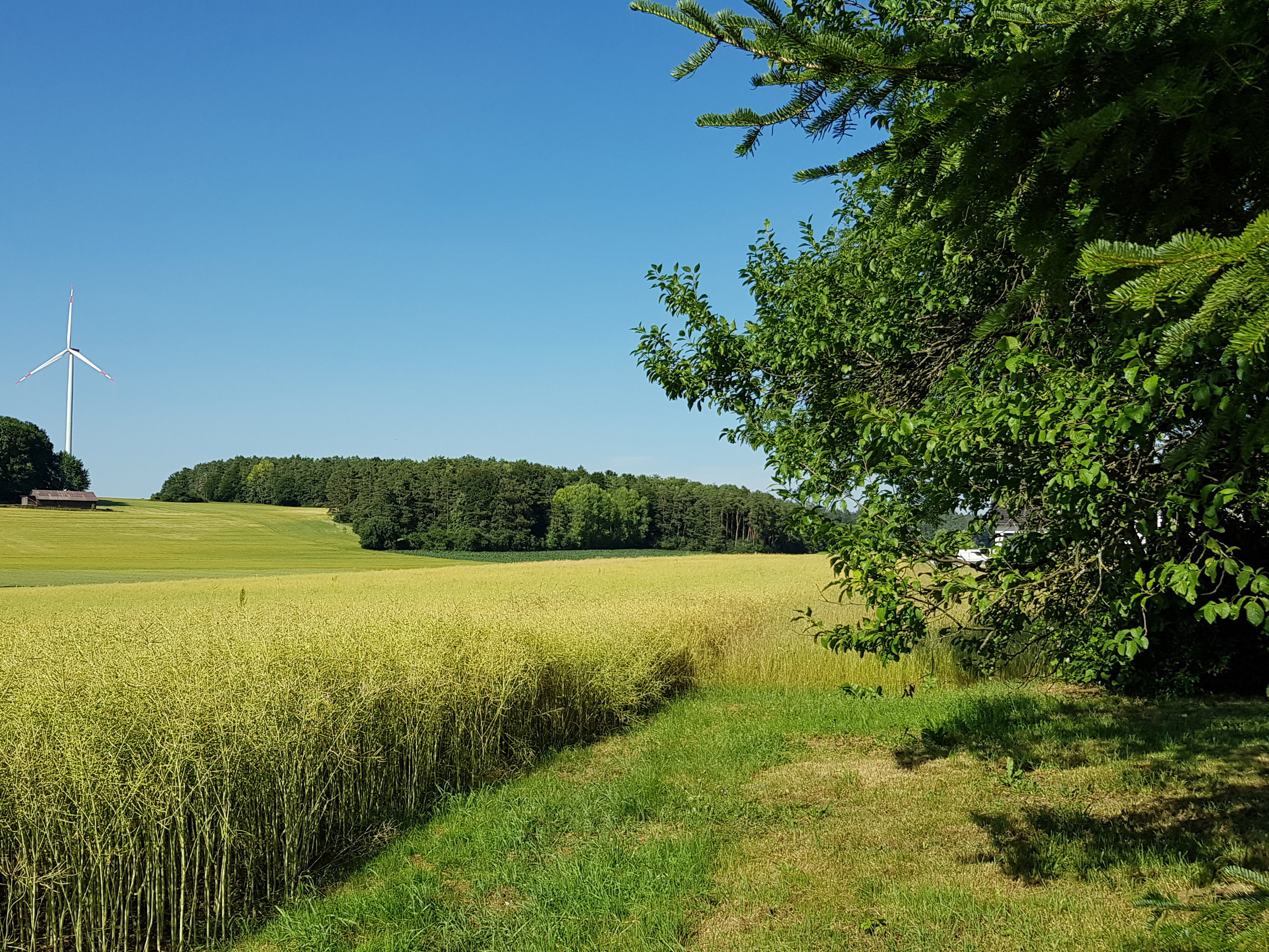 - image: 11