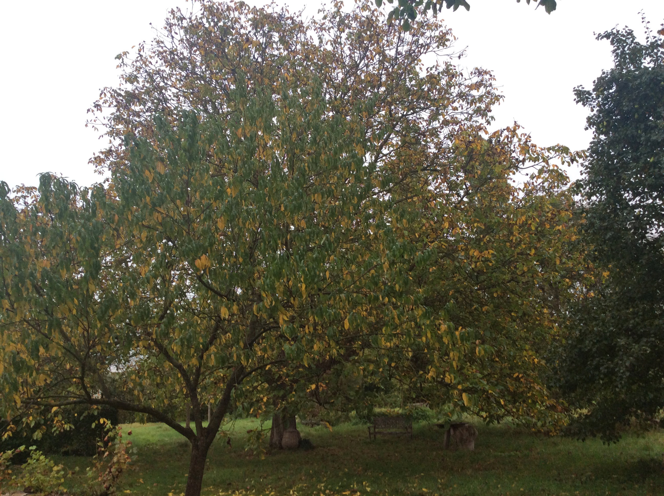 Natuurhuisje in Vissenaken