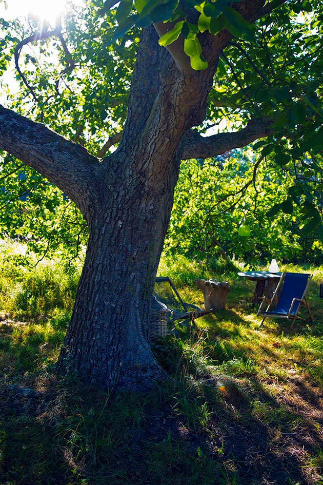 Natuurhuisje in Vissenaken