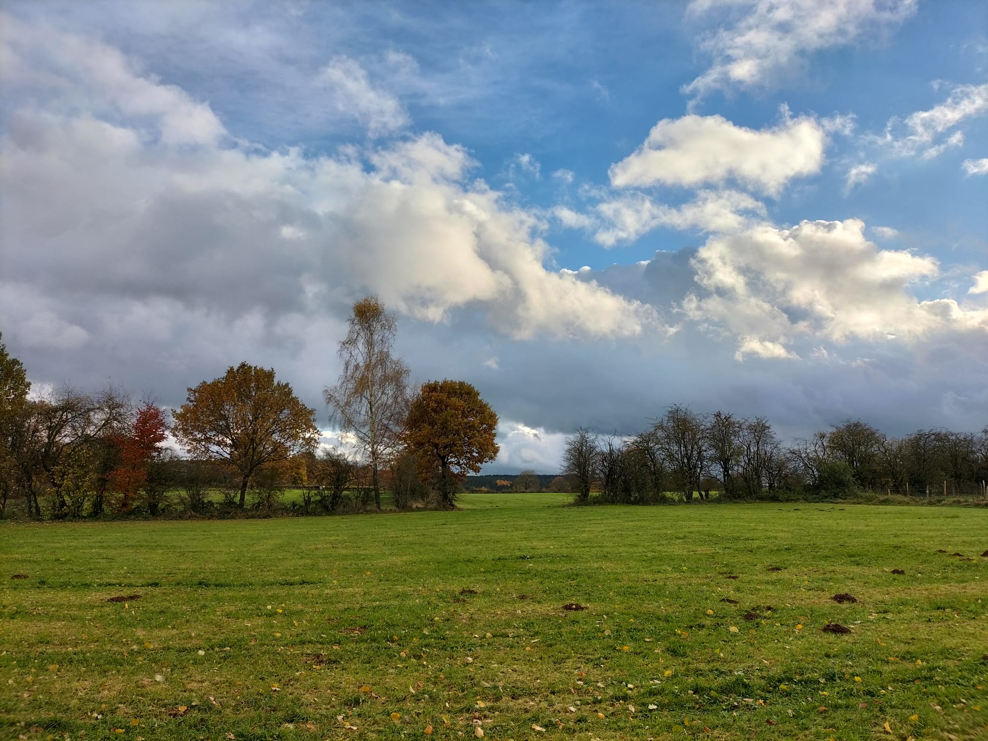 Natuurhuisje in Vielsalm