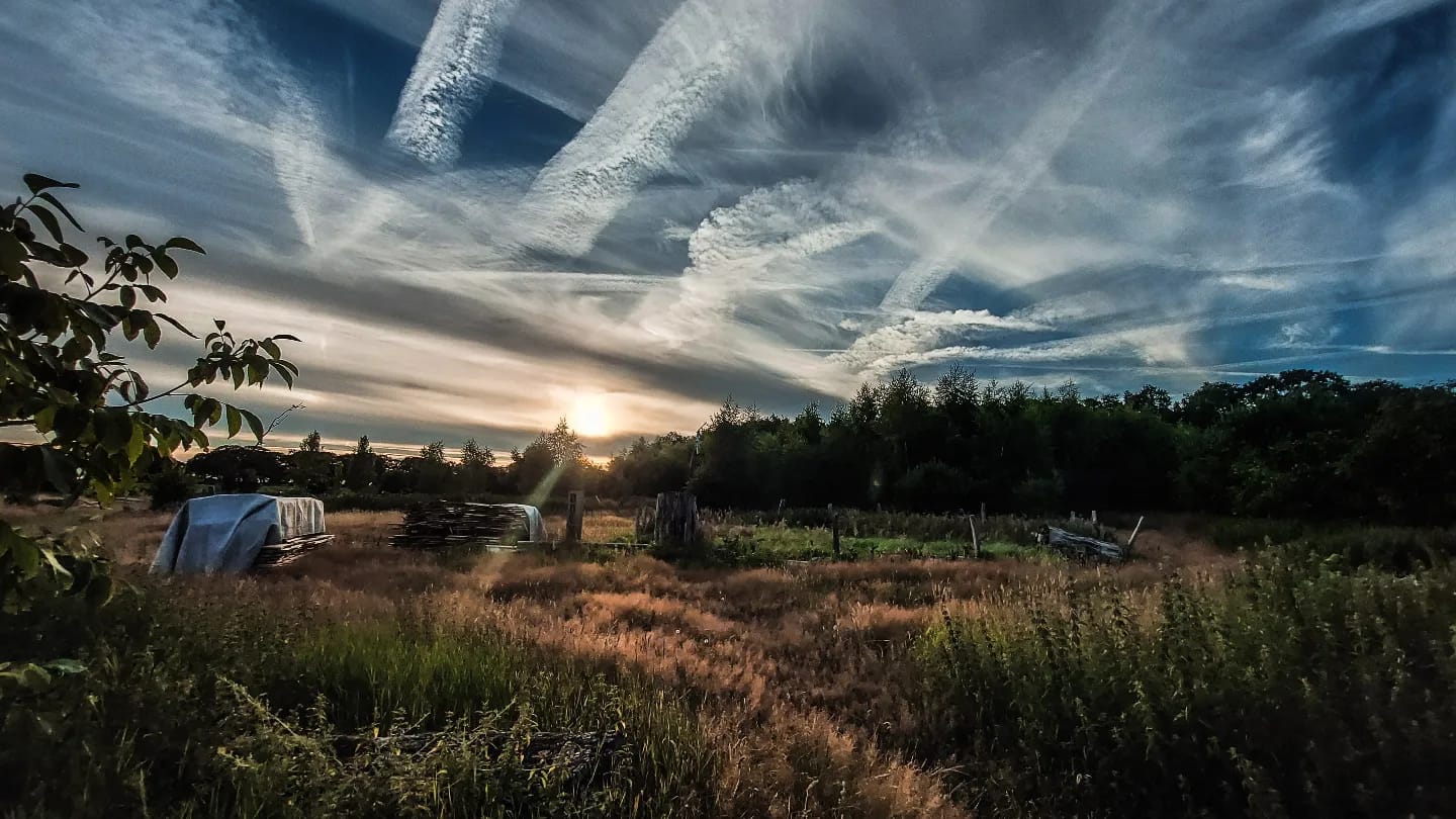 Casa nella natura a Afferden