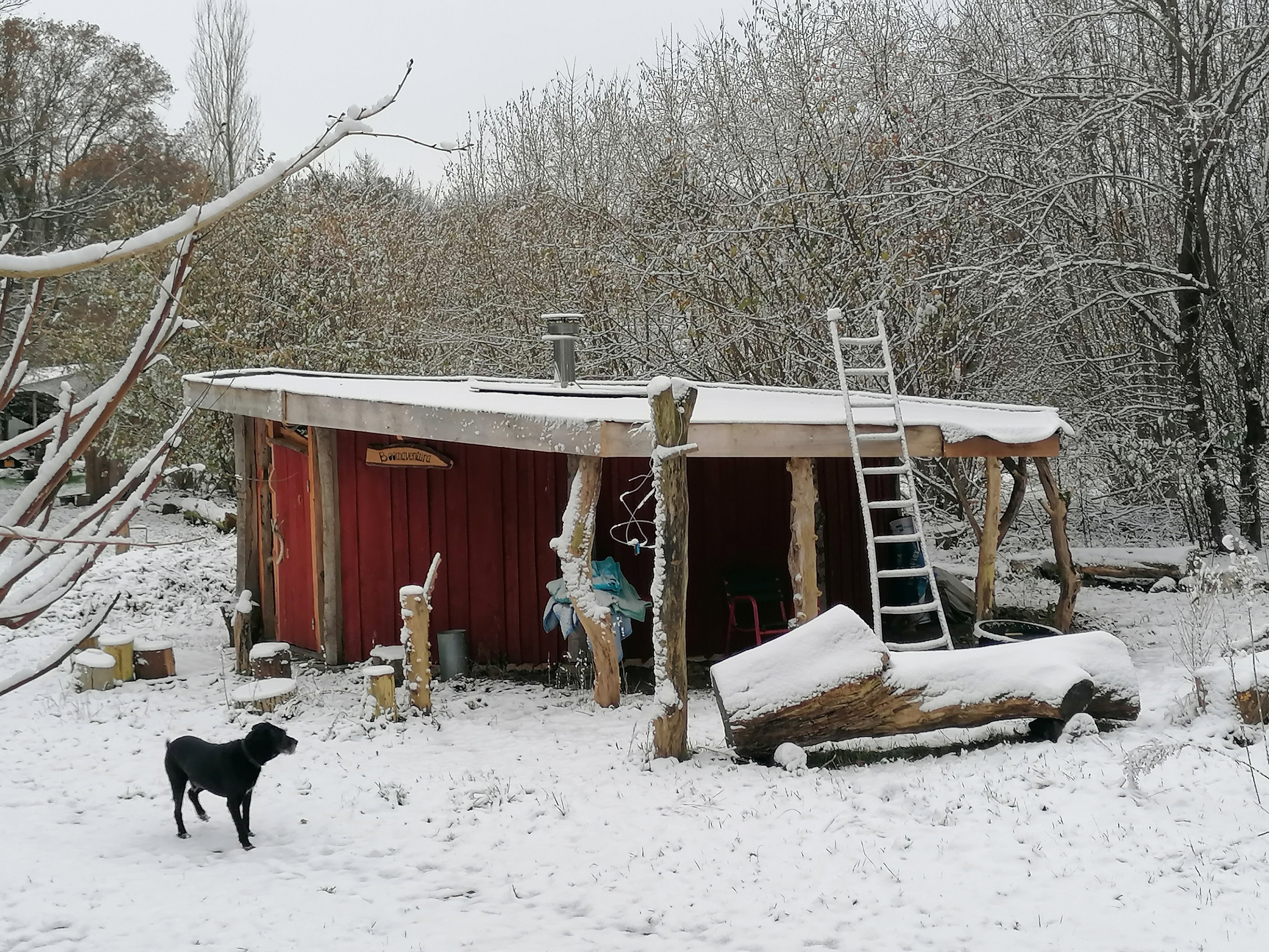 Casa nella natura a Afferden