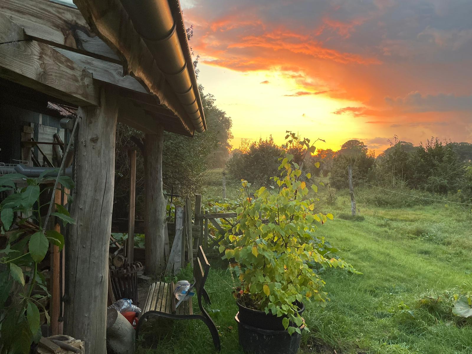 Casa nella natura a Afferden