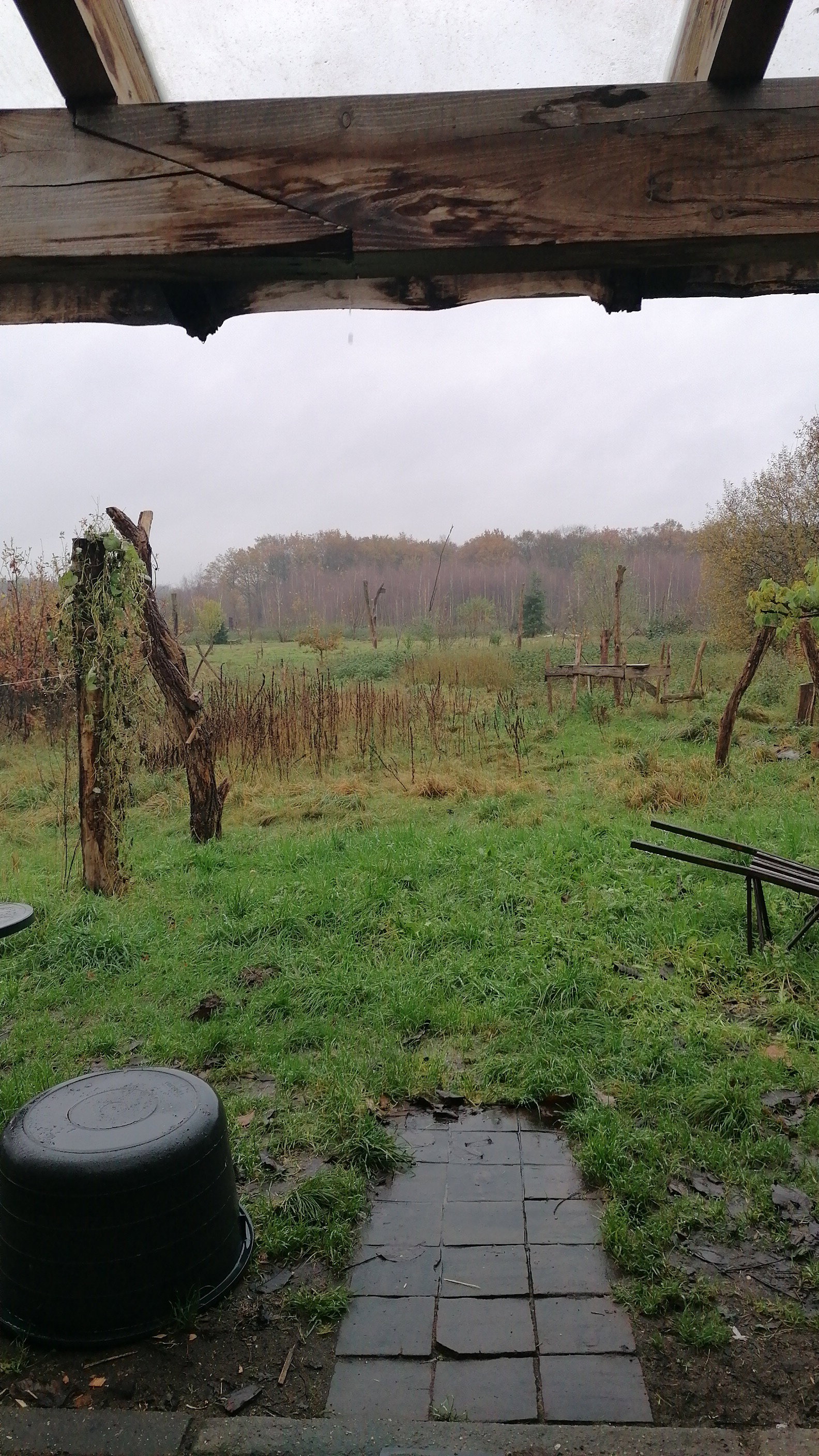 Casa nella natura a Afferden