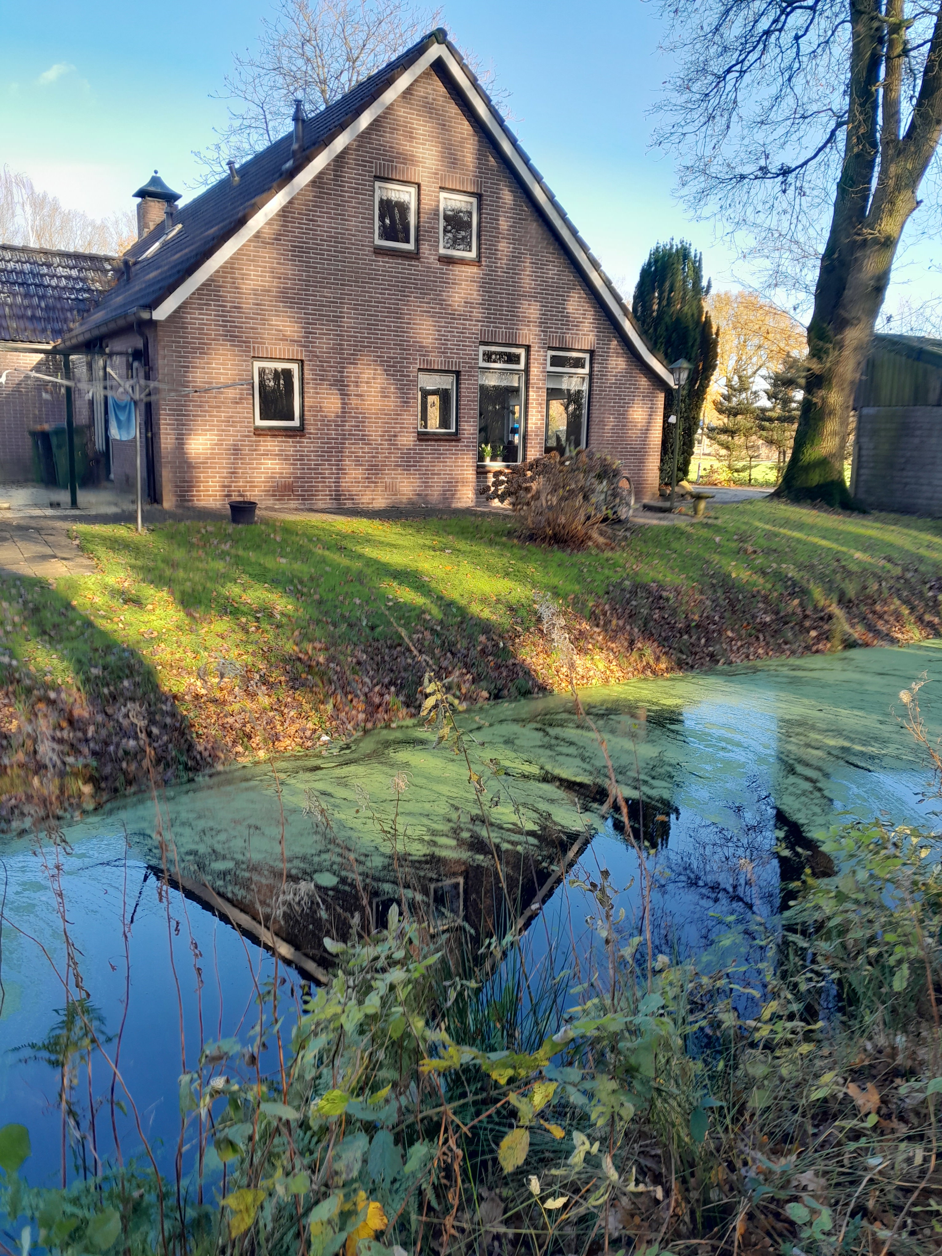Naturhäuschen in Elim