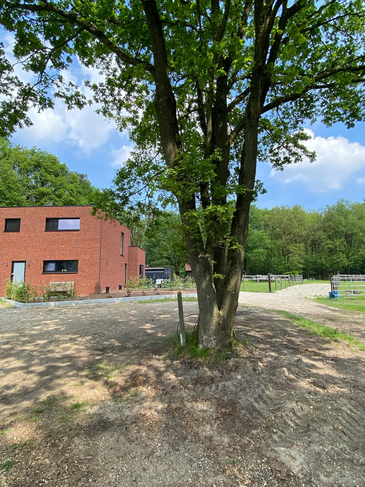 Naturhäuschen in Zutendaal