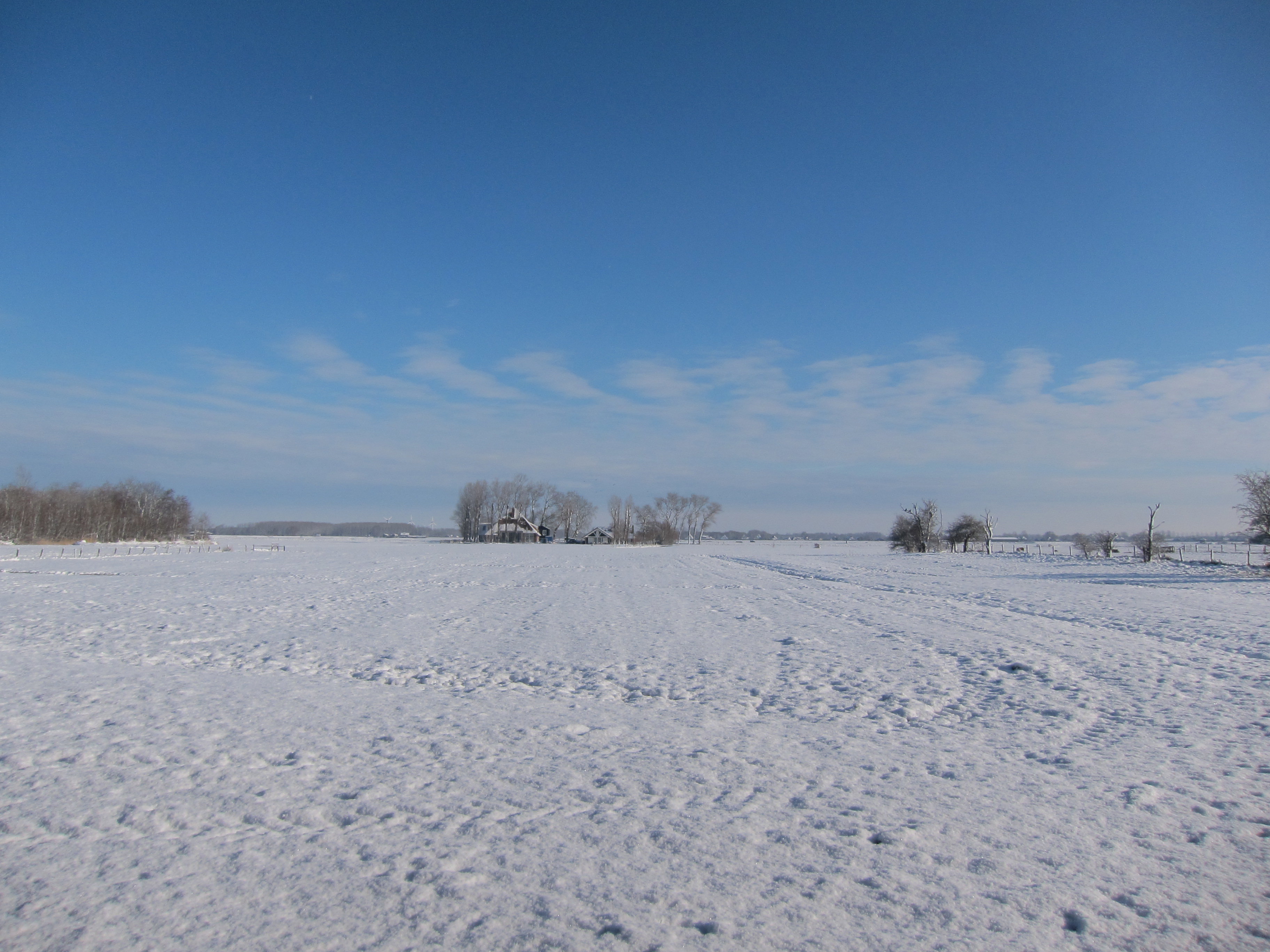 - image: 12