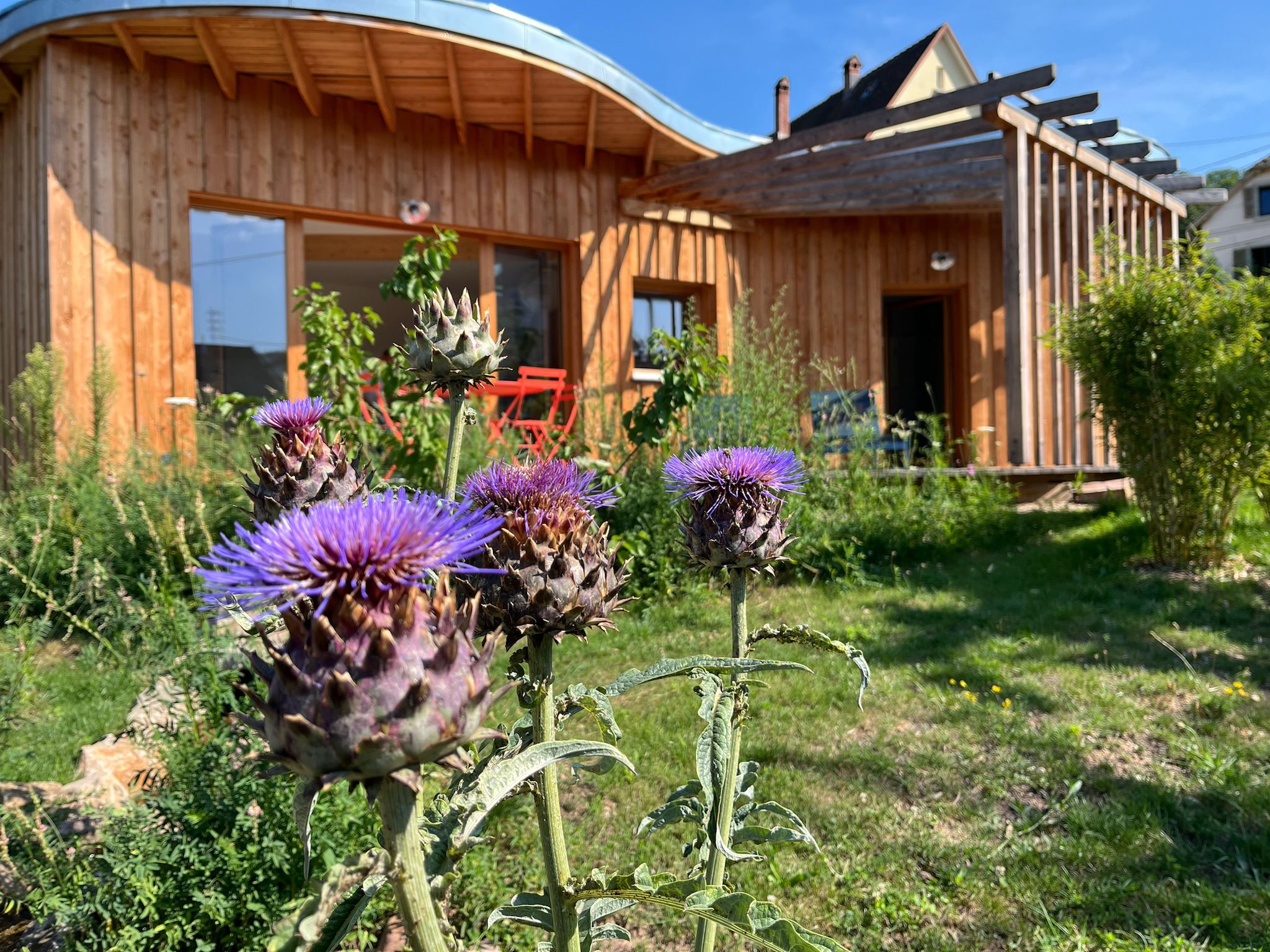 Maison nature à Wihr au Val