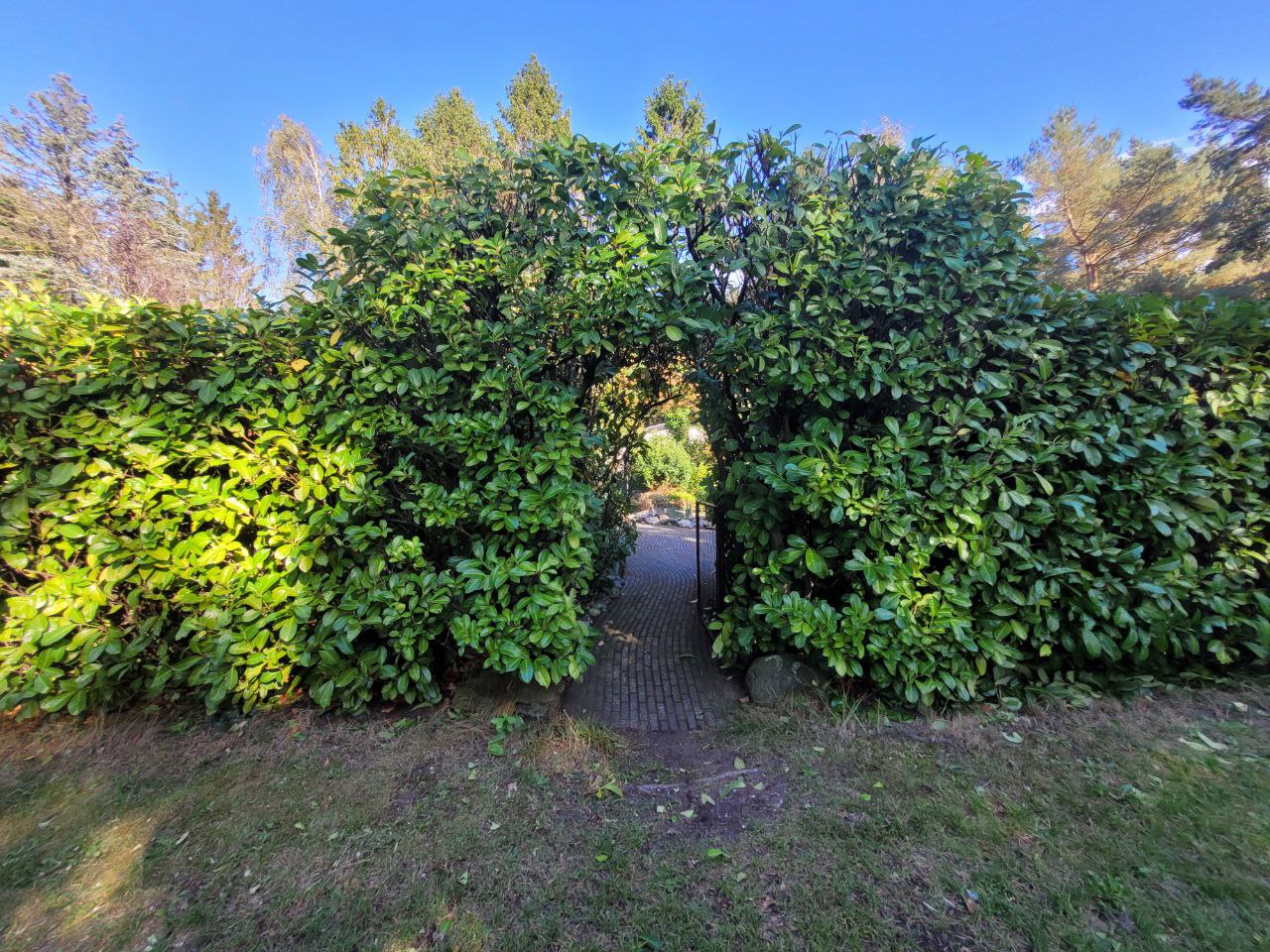 Casa nella natura a Hattemerbroek