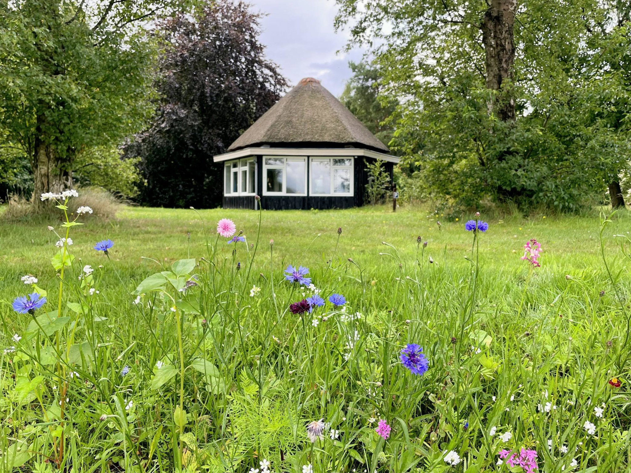 Natuurhuisje in Valthe