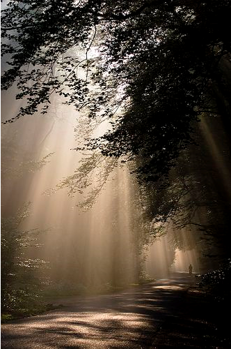 - image: 18