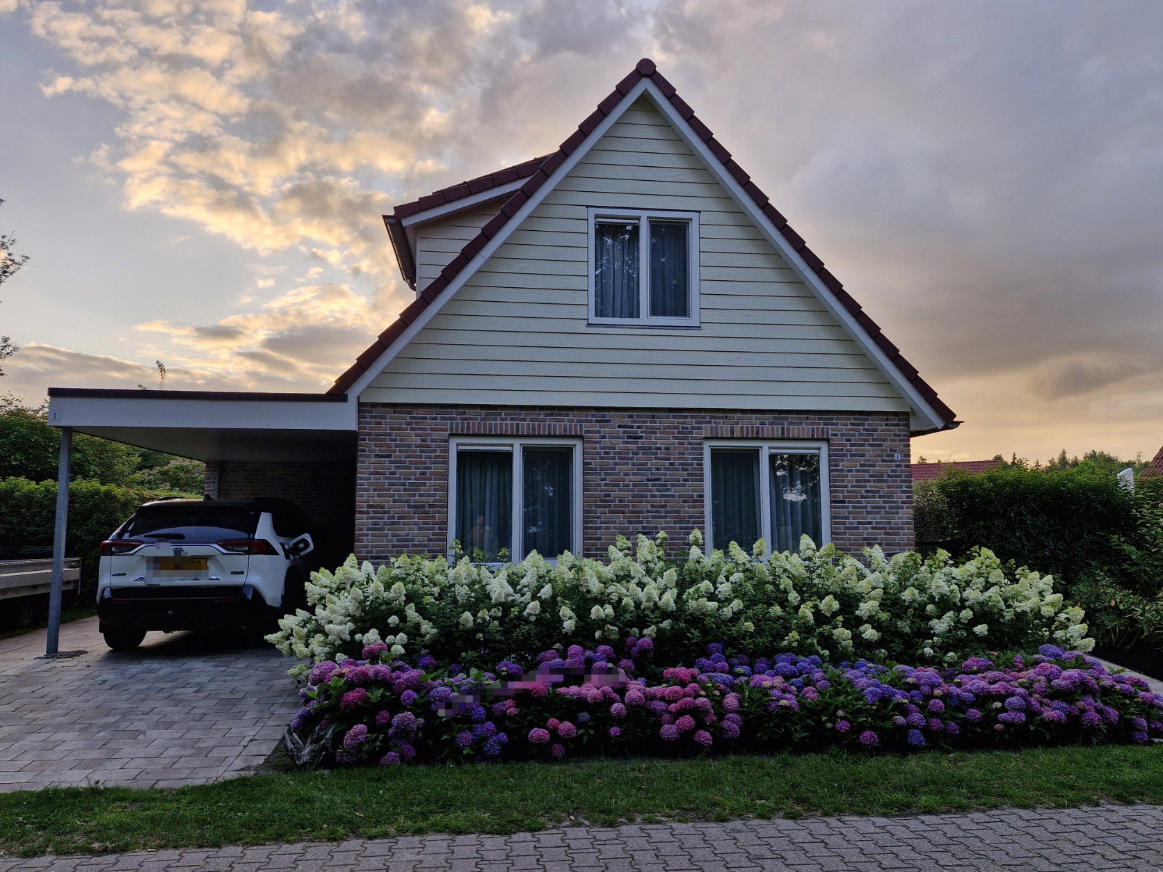 Maison nature à Havelte