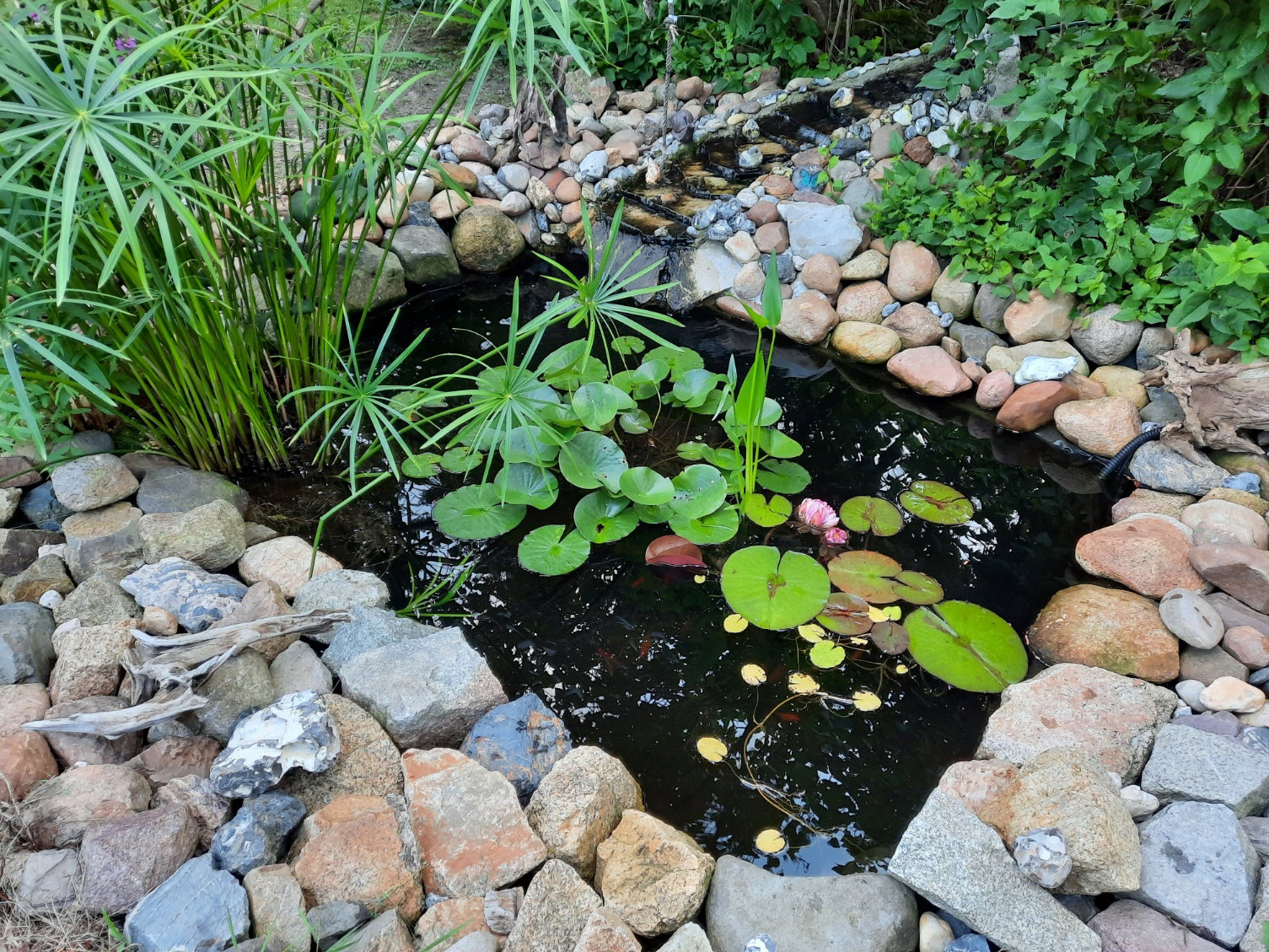 Naturhäuschen in Kodersdorf OT Särichen