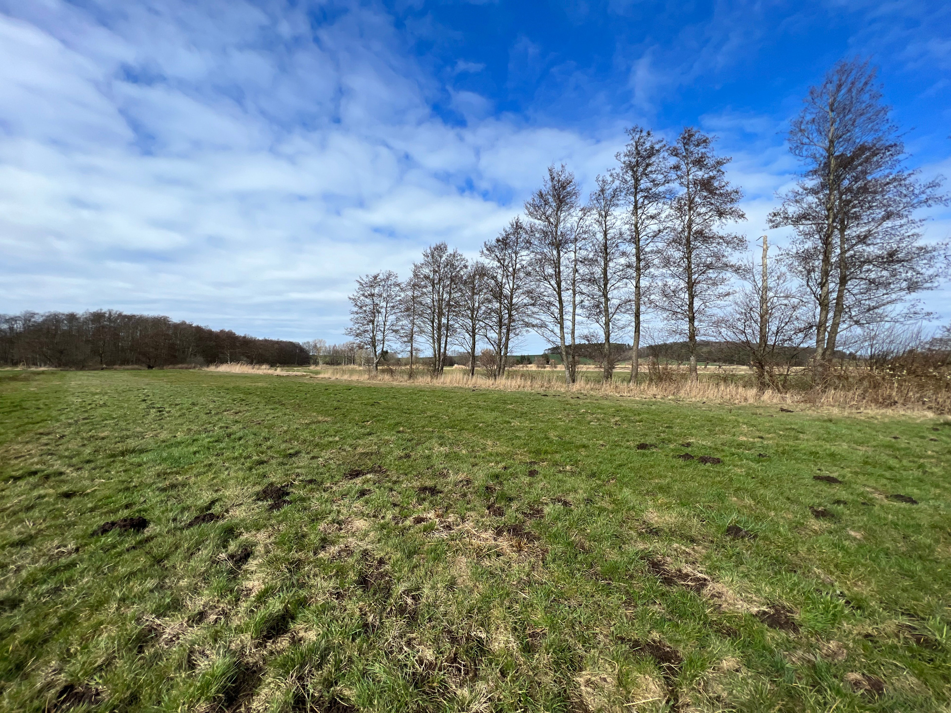 Naturhäuschen in Neuenkirchen / Rügen