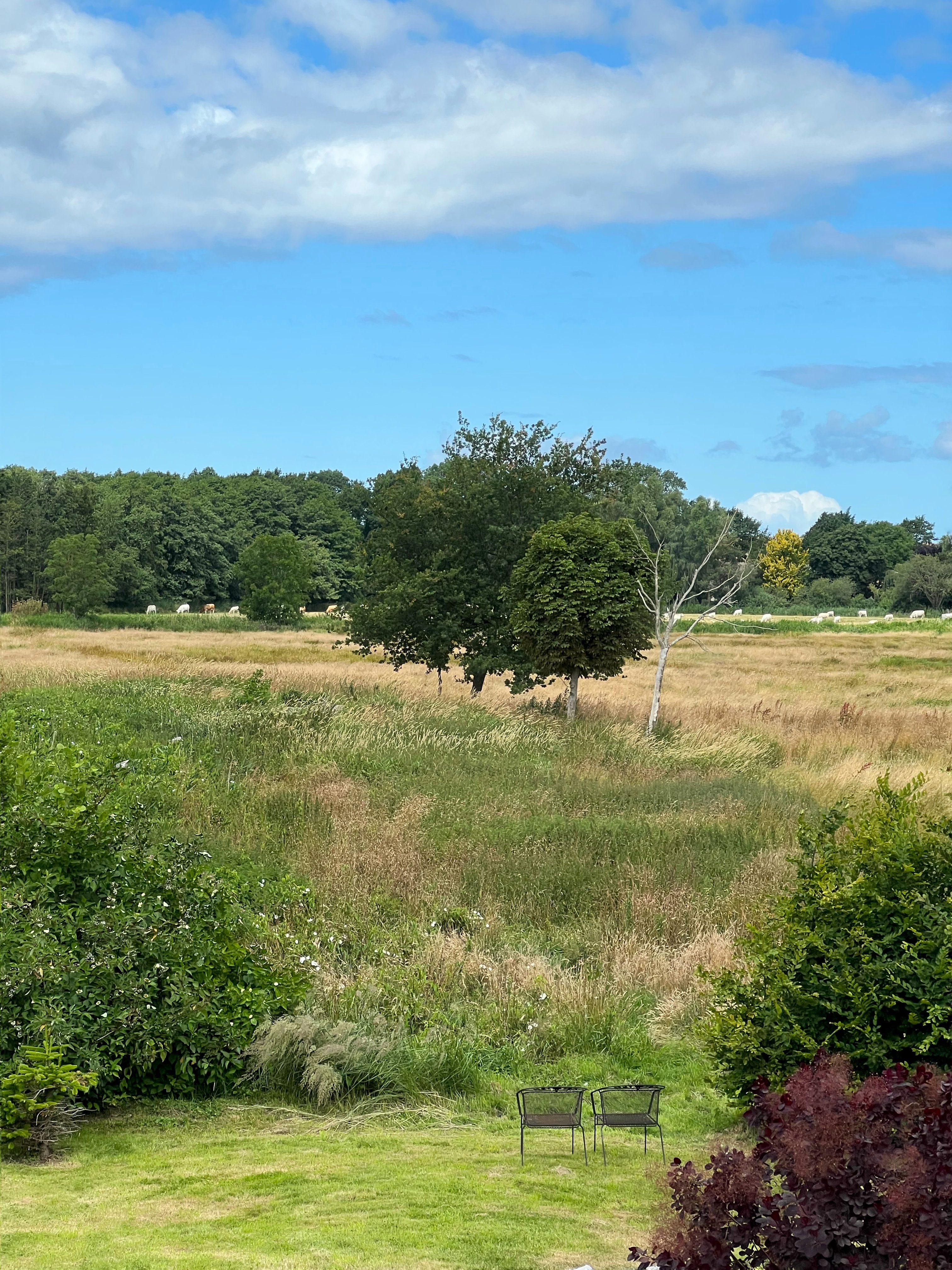 Naturhäuschen in Neuenkirchen / Rügen