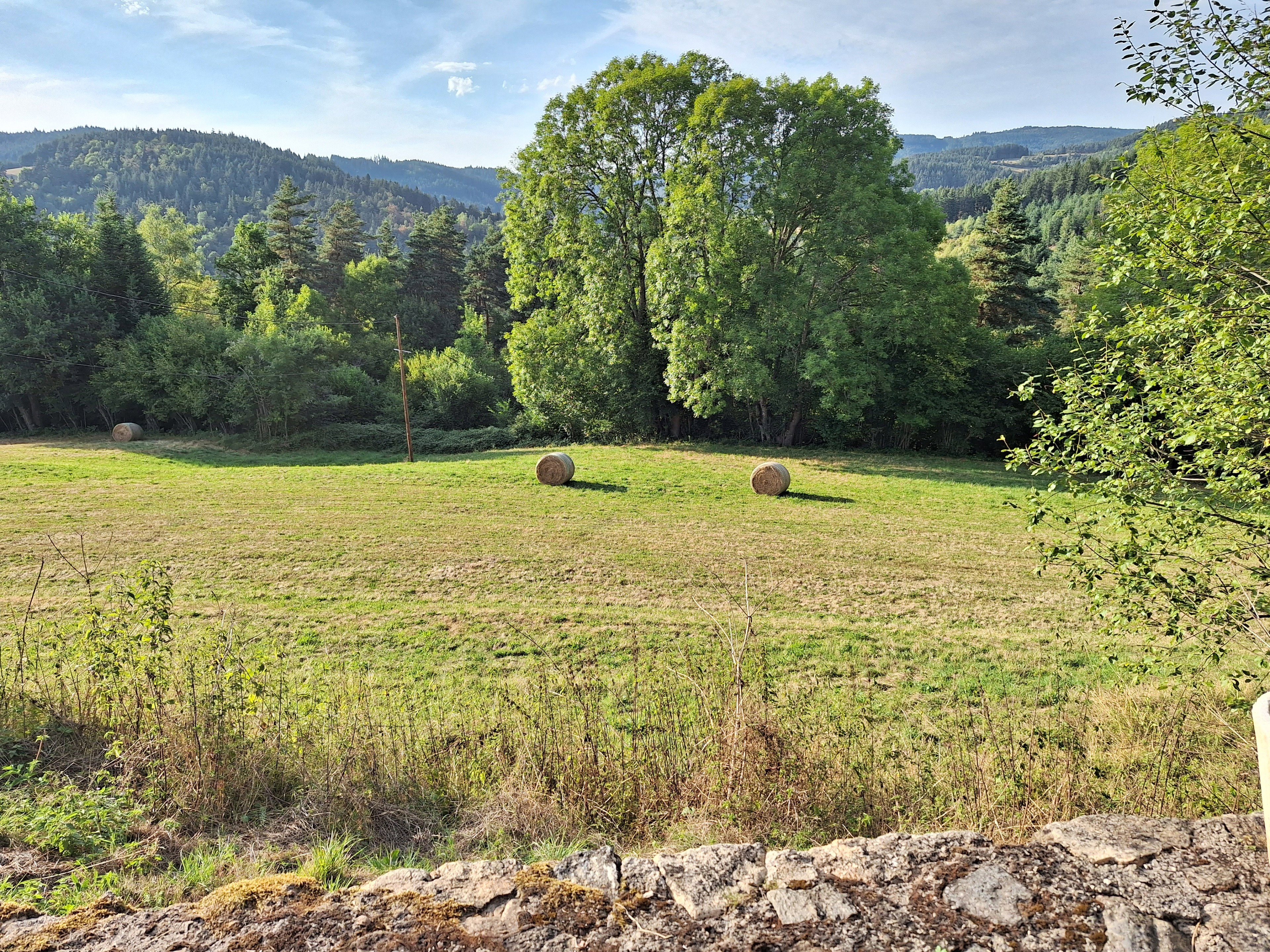 Natuurhuisje in Laval-sur- Doulon