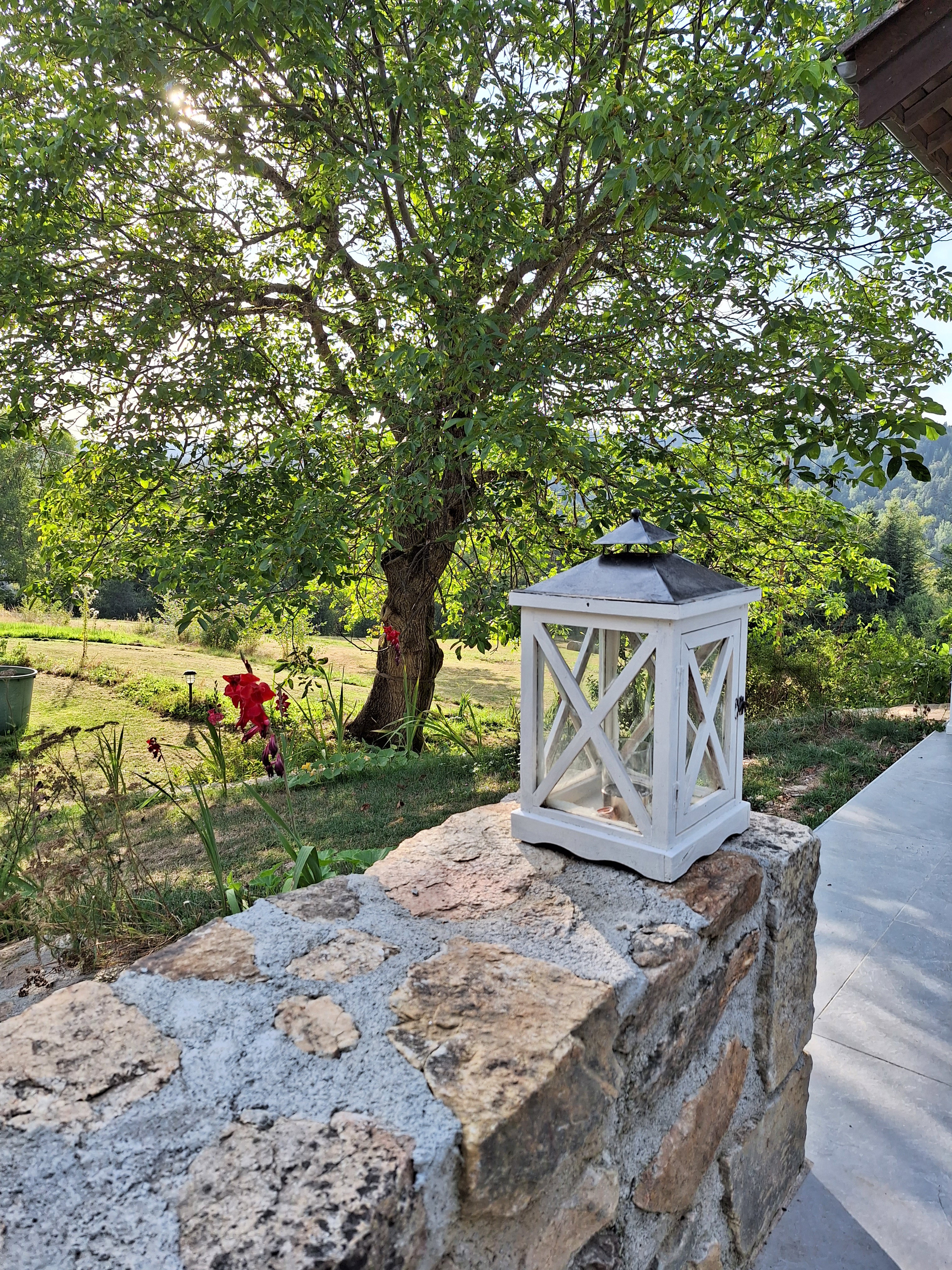 - image: 20